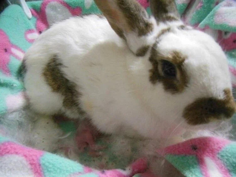 one-on-one nursing with Mom