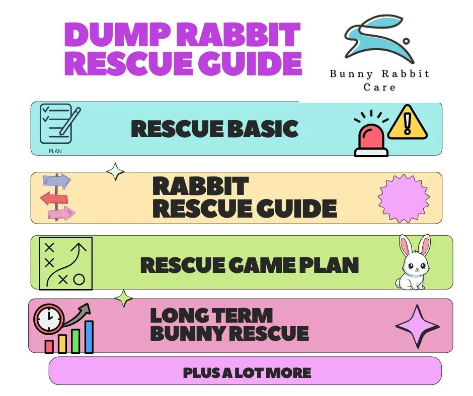 Colorful infographic titled 'DUMP RABBIT RESCUE GUIDE' with sections on rescue basics, rabbit rescue guide, rescue game plan, long-term bunny rescue, and more, featuring icons and illustrations of rabbits, rescue plans, and charts.