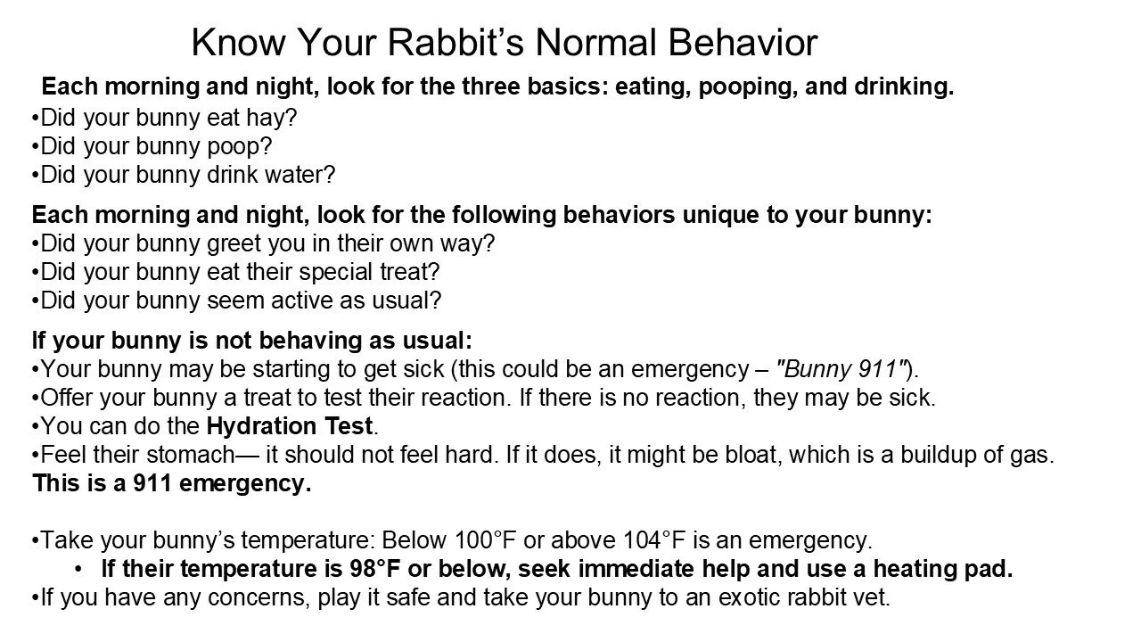 Instructions for knowing rabbit's normal behavior, including questions about eating, pooping, and drinking water, and behaviors that indicate health issues, emphasizing emergency signs and when to seek veterinary care.