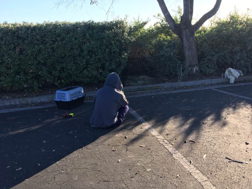 sitting and talking with the bunny that I am trying rescue during the night