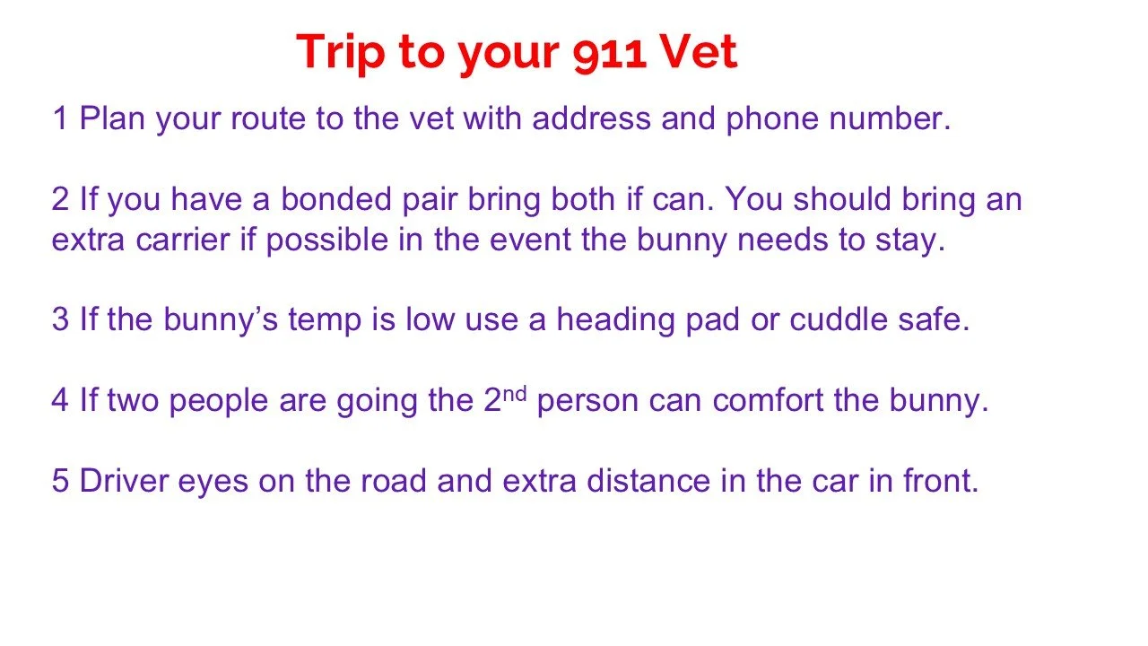 Guidelines for traveling to your veterinarian with instructions on planning the route, bringing a bonded pair of rabbits, using a safe heading pad for cold rabbits, having a second person for comfort, and driving safely.