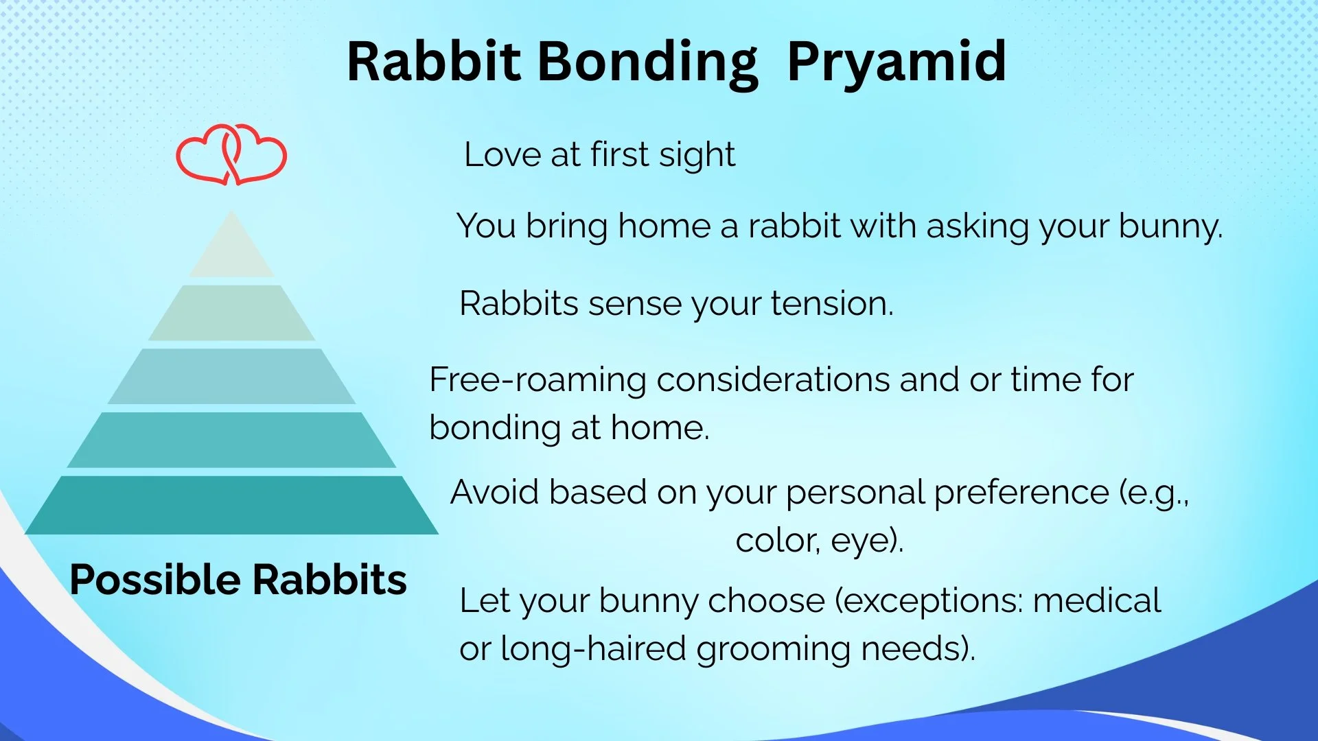 A pyramid diagram titled "Rabbit Bonding Pyramid" with five levels of gradient blue rectangles, topped with a red line drawing of two hearts intertwined. The pyramid is labeled "Possible Rabbits" at the bottom. To the right, there is text explaining the bonding process: "Love at first sight," "You bring home a rabbit with asking your bunny," "Rabbits sense your tension," "Free-roaming considerations and or time for bonding at home," "Avoid based on your personal preference (e.g., color, eye)," and "Let your bunny choose (exceptions: medical or long-haired grooming needs)."