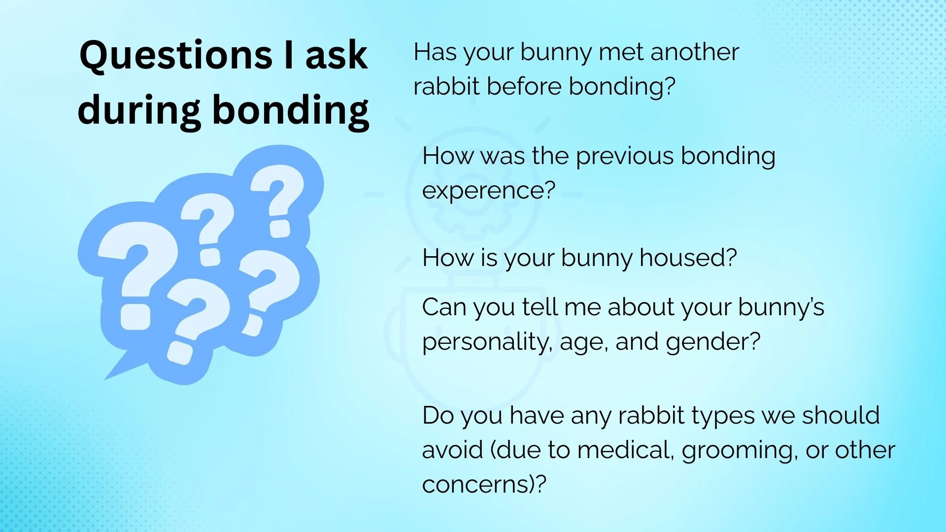 A light blue background slide titled "Questions I ask during bonding" with a graphic of five blue question marks and speech bubbles on the left. The slide lists questions about bonding experiences with rabbits, such as whether the bunny has met another rabbit, the previous bonding experience, how the bunny is housed, the bunny's personality, age, gender, and types of rabbits to avoid due to medical or grooming concerns.