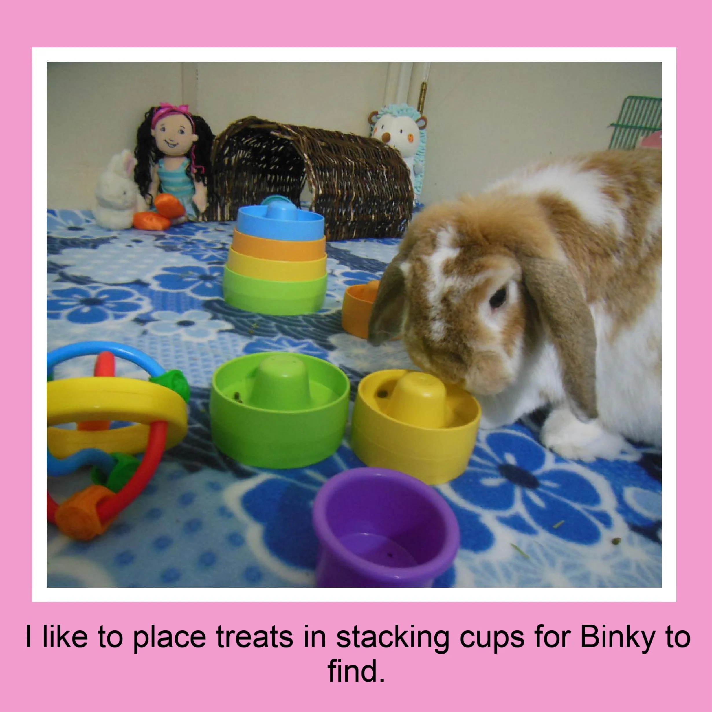 A rabbit sniffing colorful stacking cups and treat bowls on a blue patterned blanket, with toys and stuffed animals in the background.