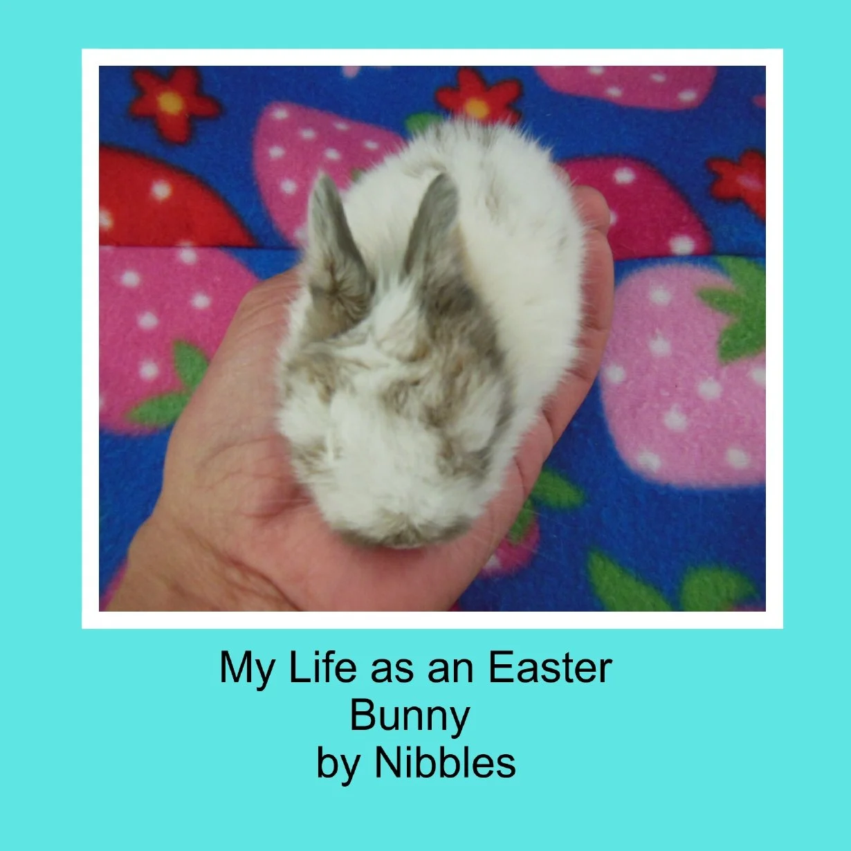A small white and brown bunny resting in a person's hand with a colorful fleece blanket with strawberries in the background.