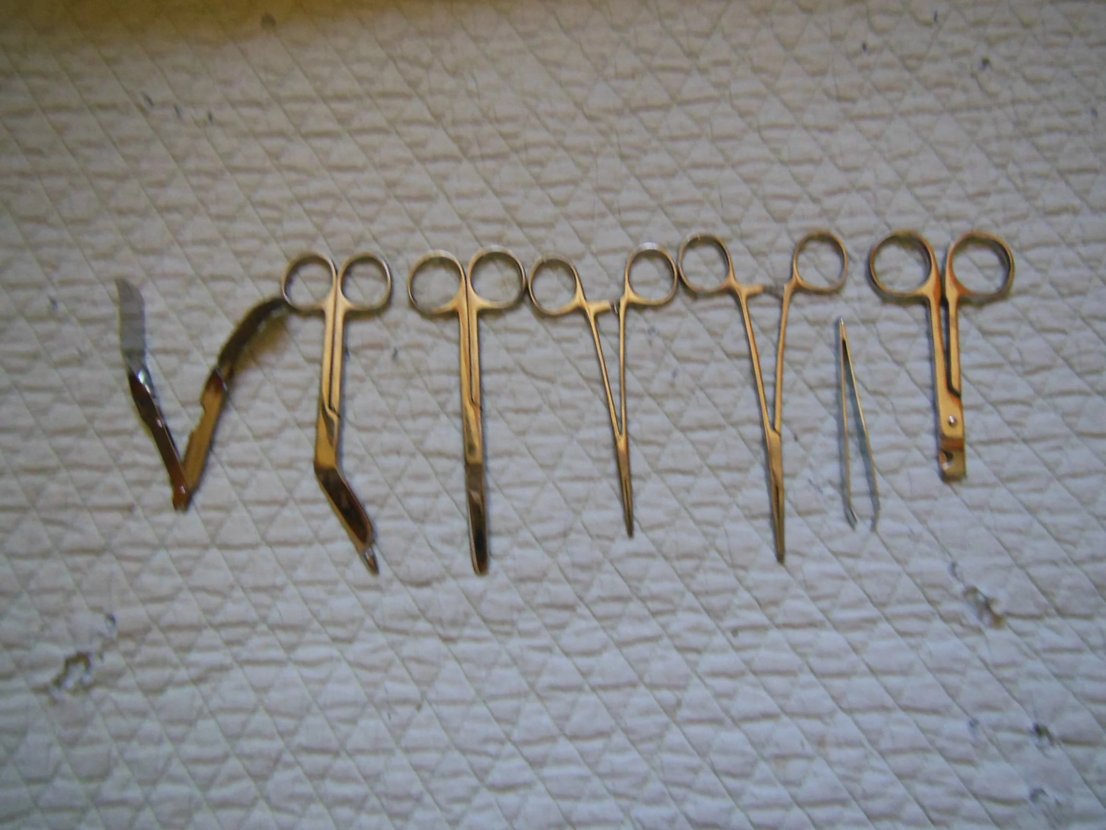 Over the years, we have built up a collection of medical tools to help care for the rabbits in our 501(c)(3) rescue. One of these tools is a staple remover.