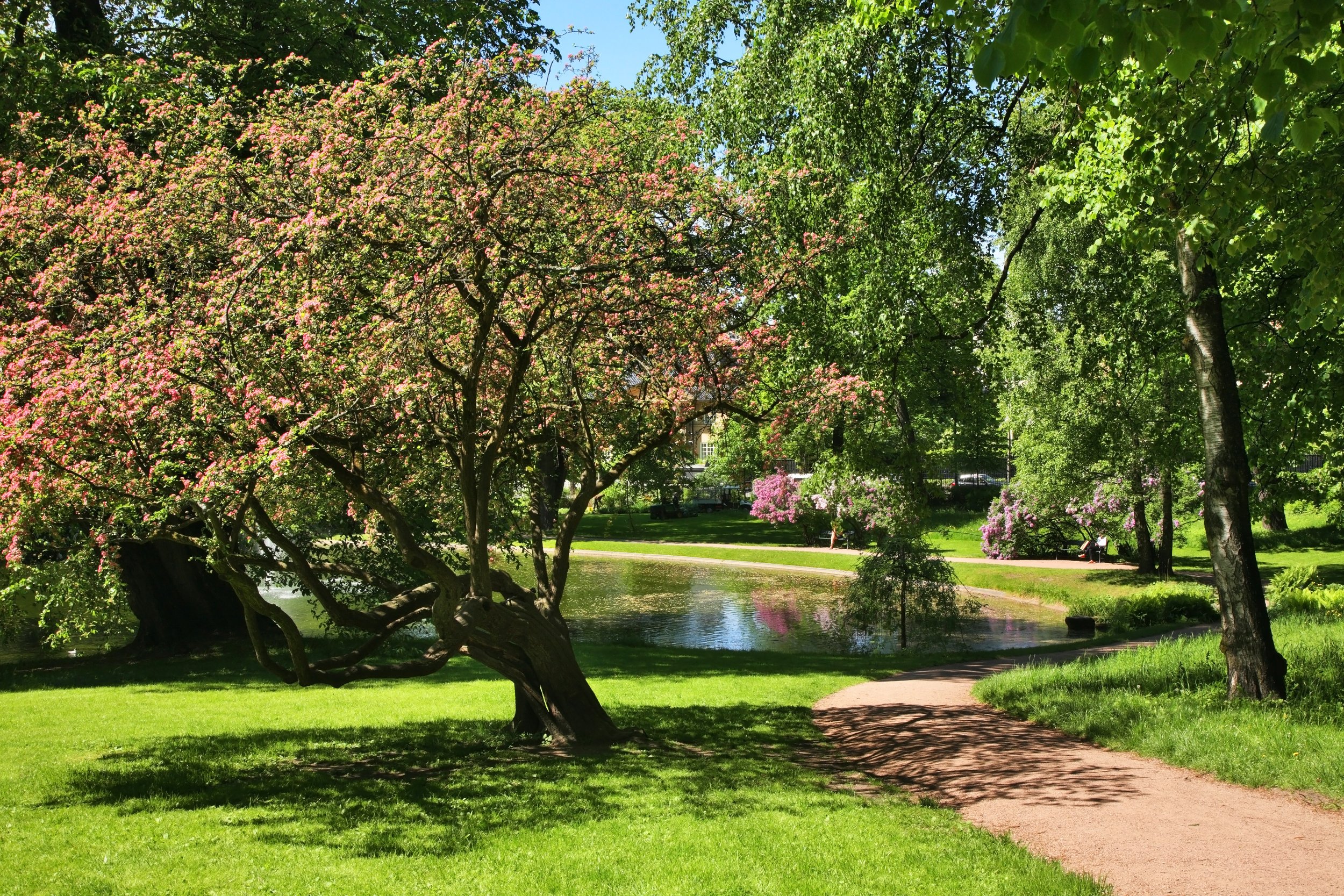 A Walk in the Park