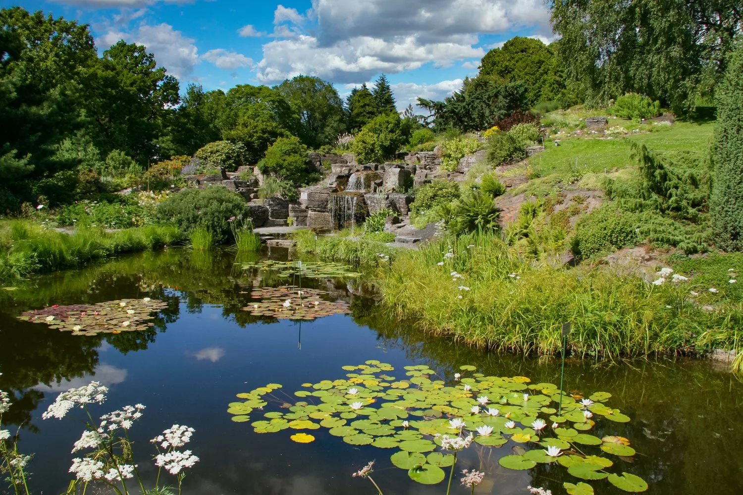 Botanical Garden