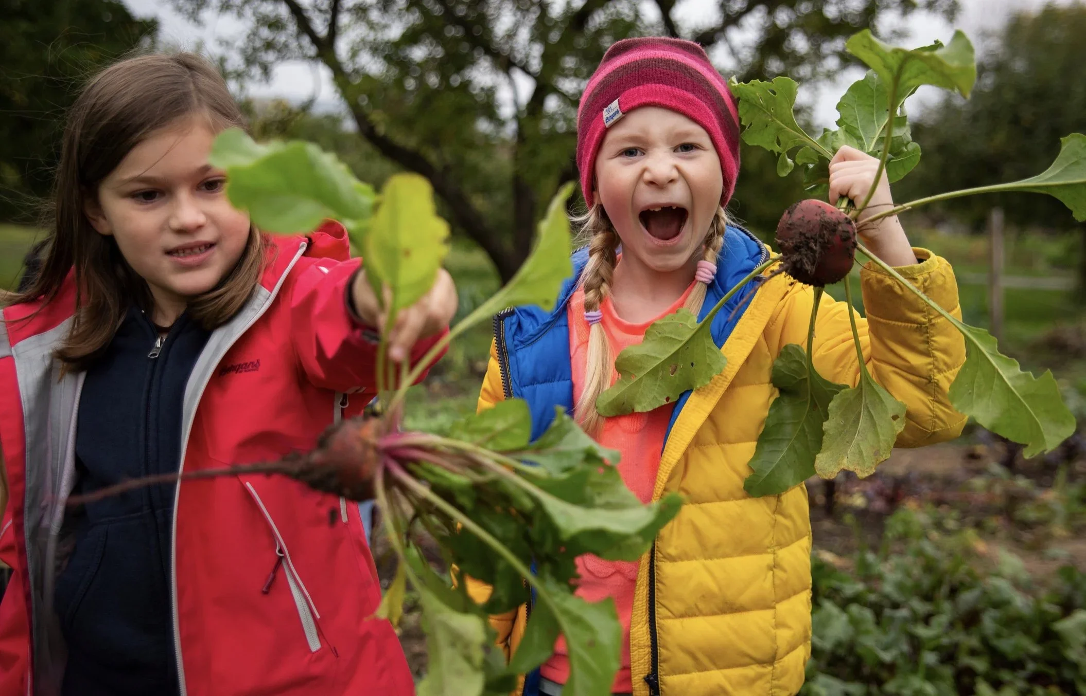 GEITMYRA Culinary Center for Children