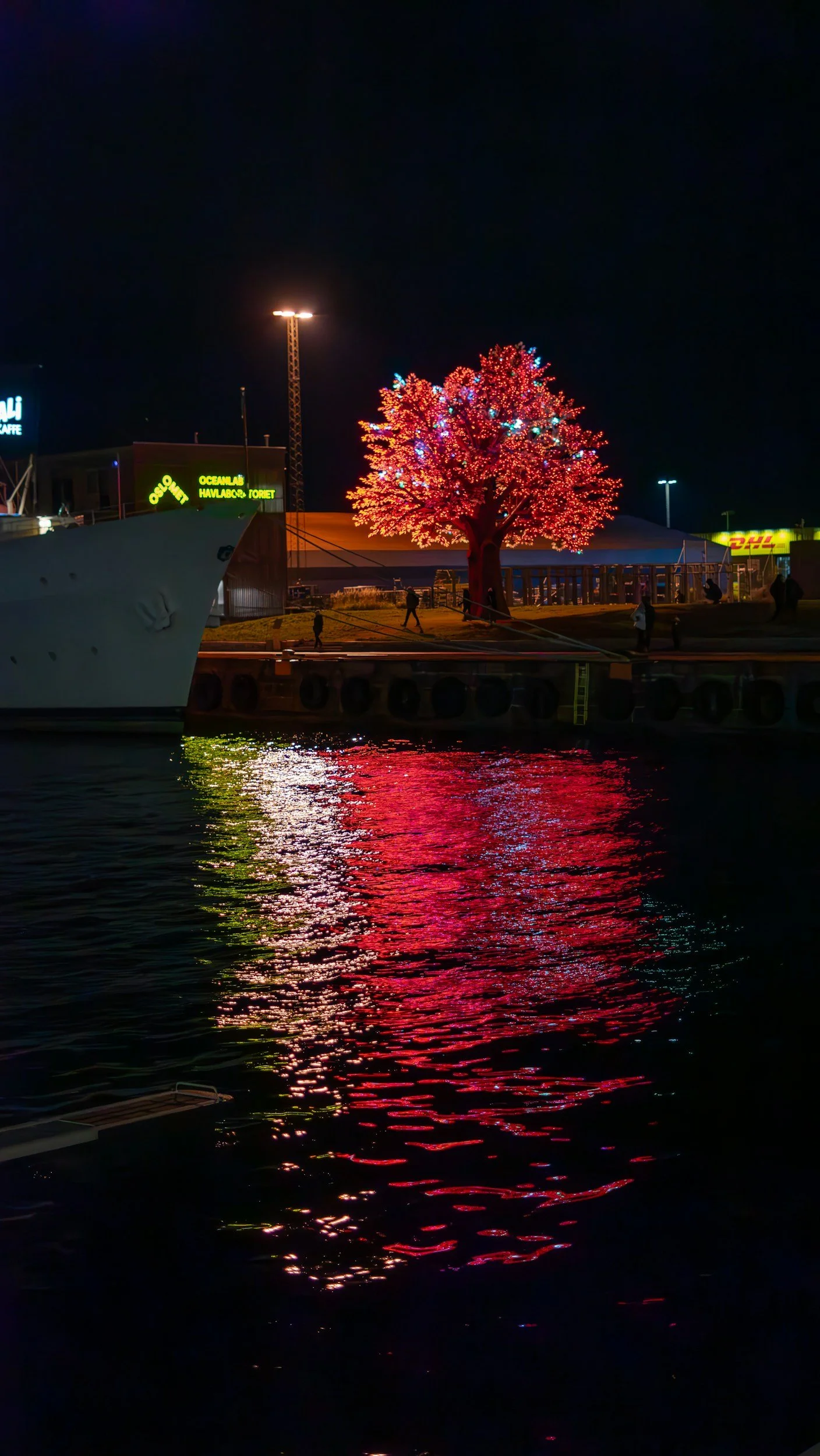 Oslo Tree