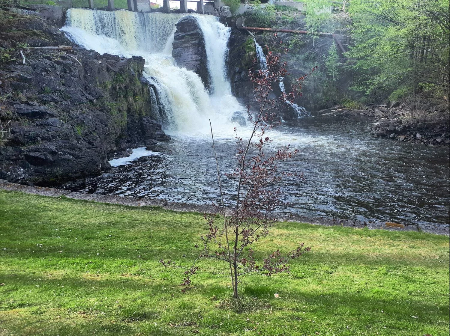 Lysakerelven river