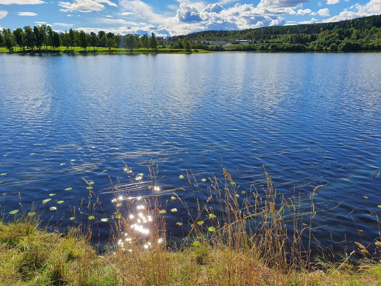 Bogstadvannet (lake)