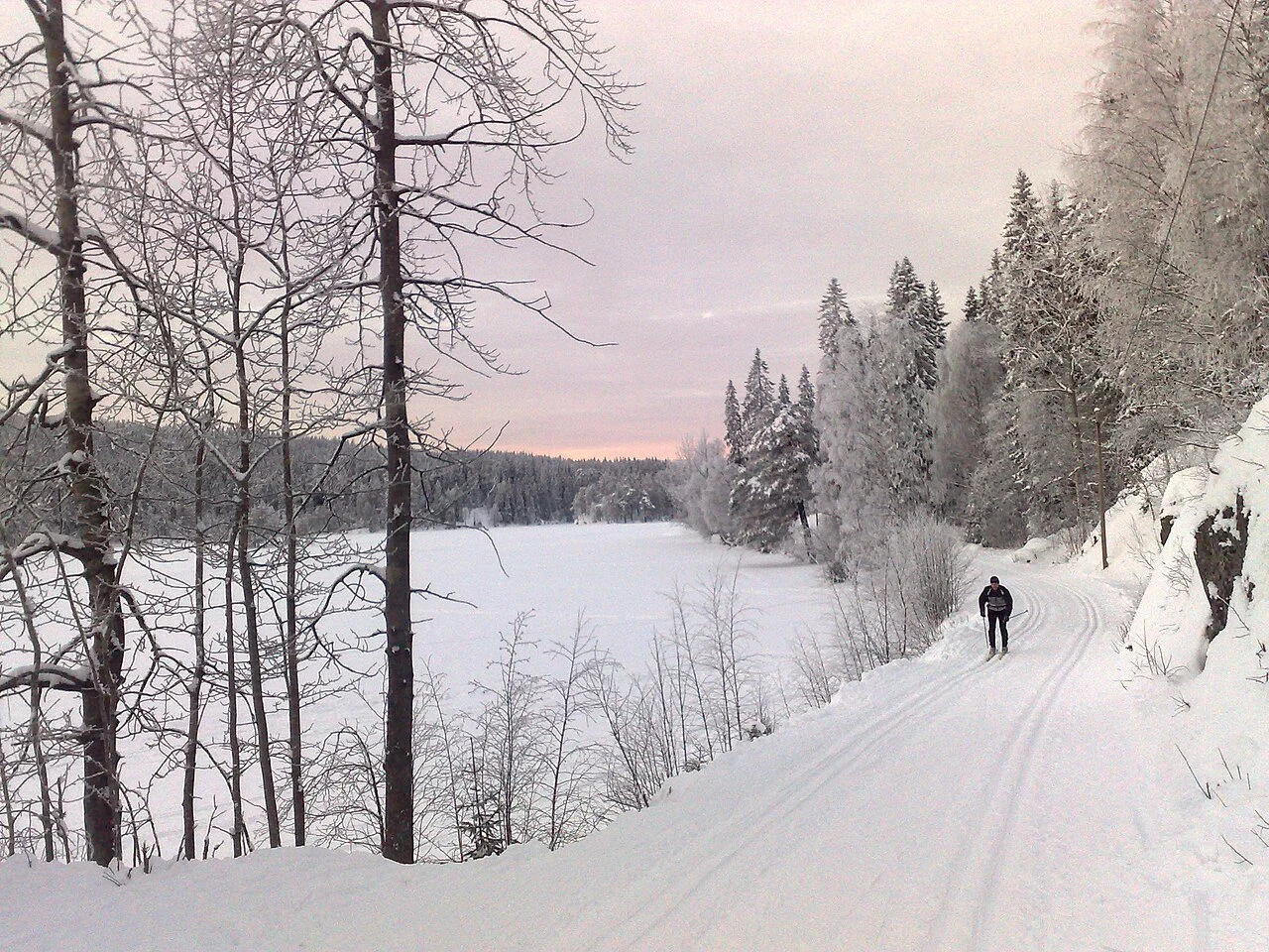 Ski Trails