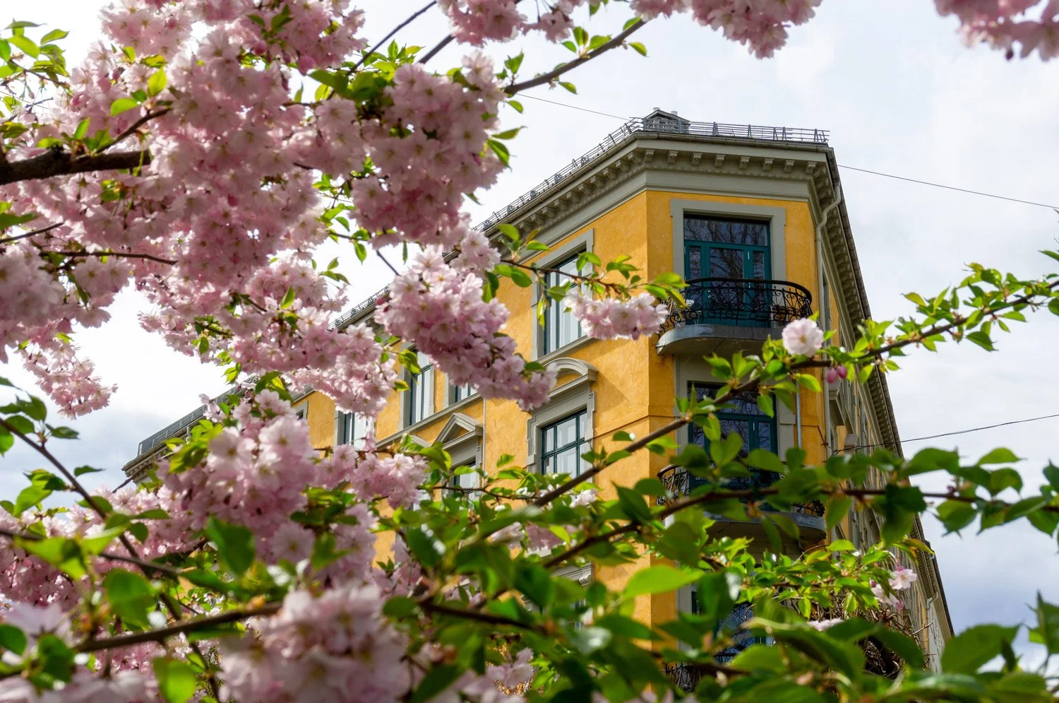 Oslo-web-arkitektur-spring-var-2-kl.-17.05.00.jpg