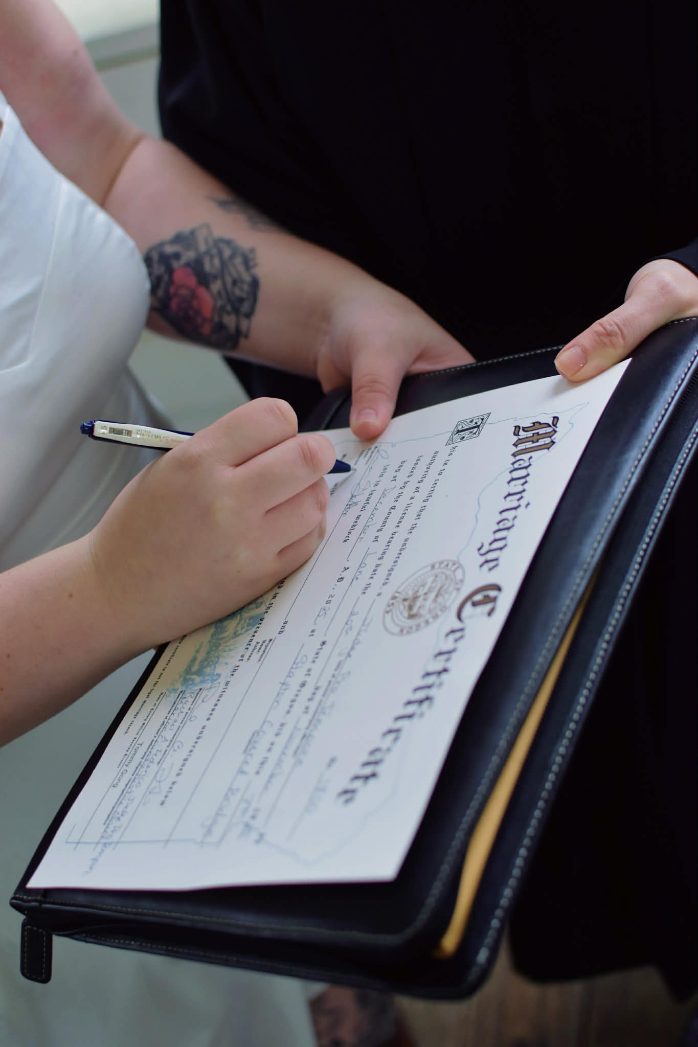 6d7f0255-6bcb-4bd8-8fcd-3e6f62c31f1b.jfif