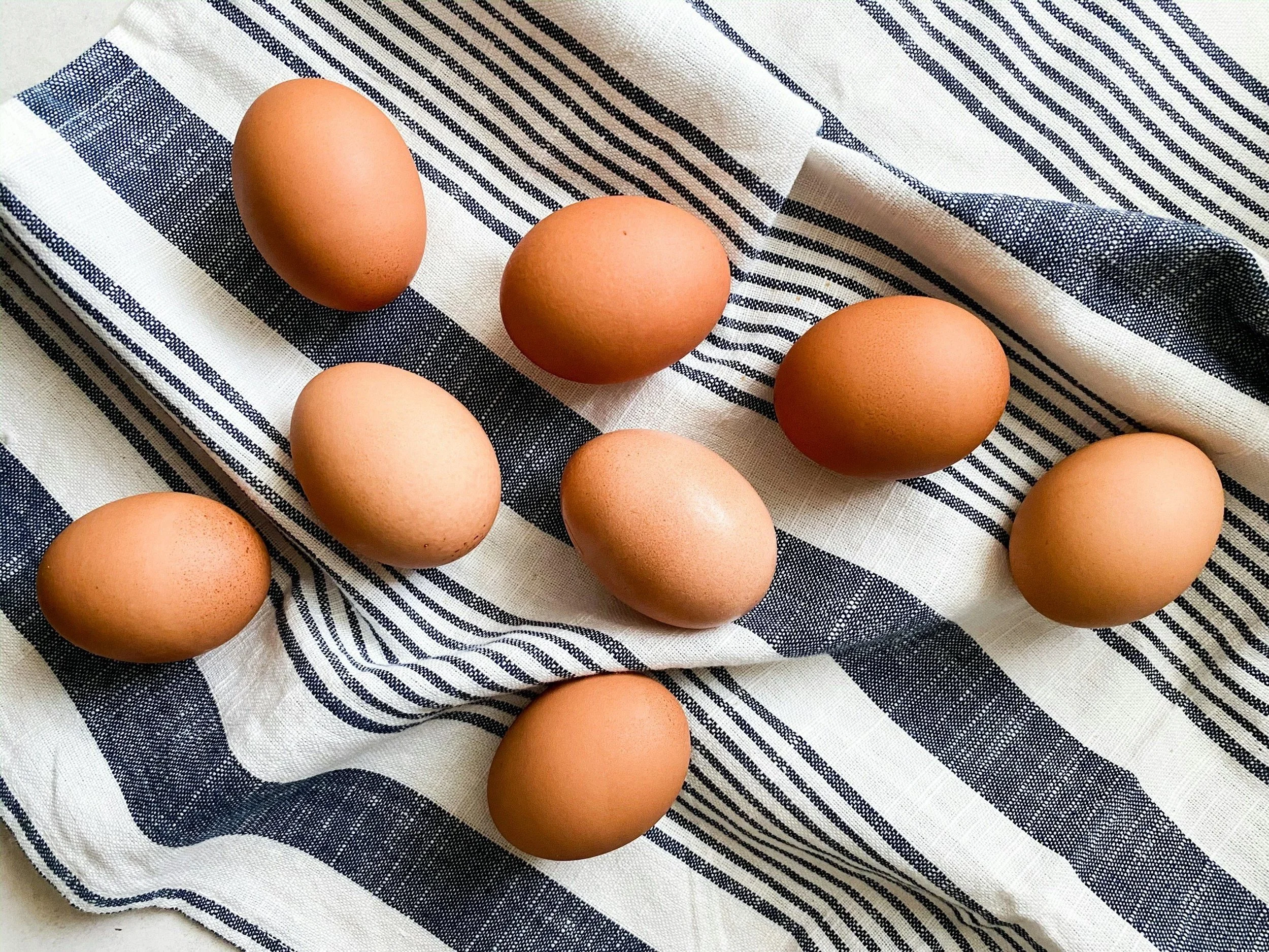 The Glow-Up: From Fluffy Chick to Egg-Laying Hen