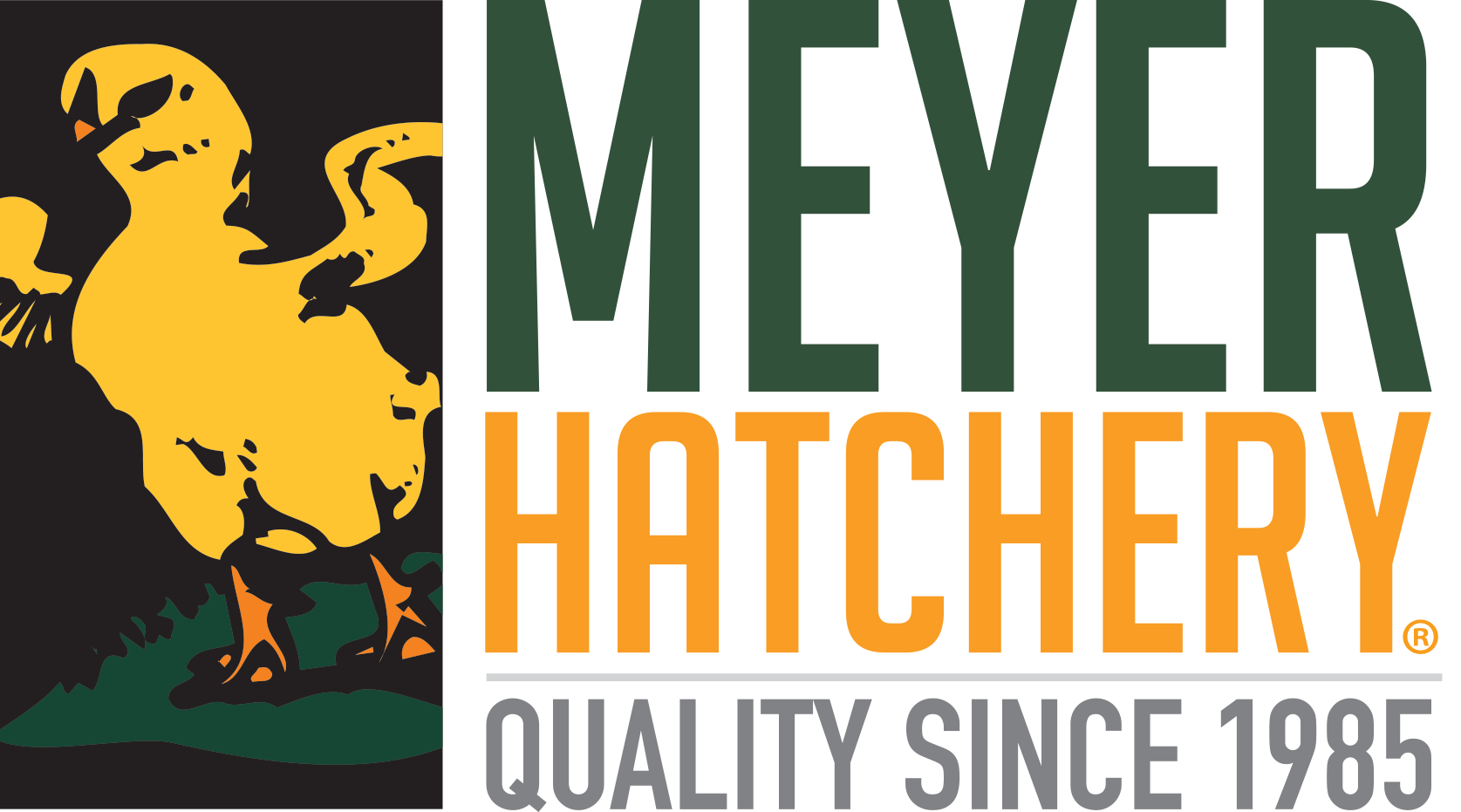 Logo of Meyer Hatchery featuring a yellow chick on a black background with green accent, and bold text stating 'Meyer Hatchery', 'Quality Since 1985'.