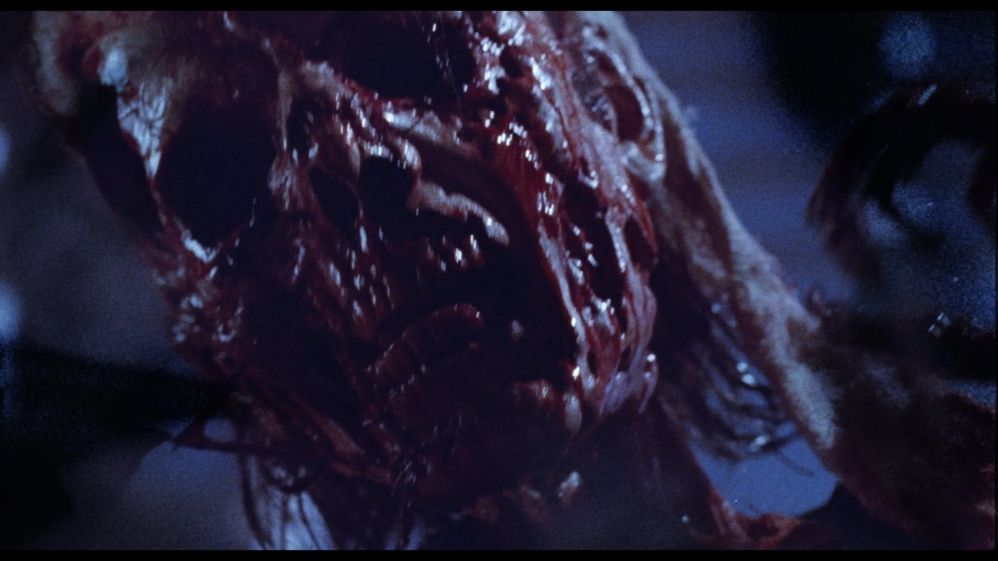 DarkHalf_Stills_1.1.24_2048x.jpg