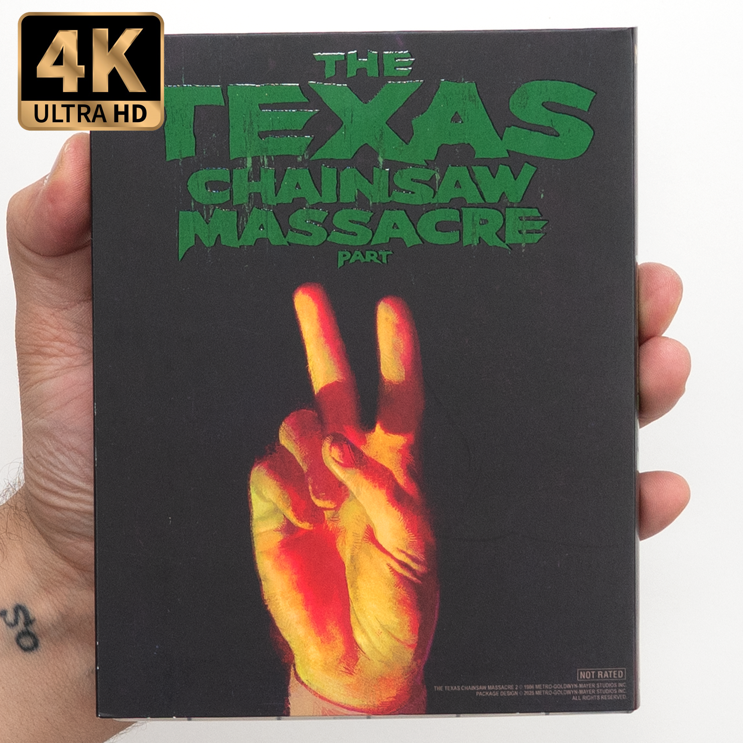The_Texas_Chainsaw_Massacre2_VARI_SLIP_Back4K_2500x.png