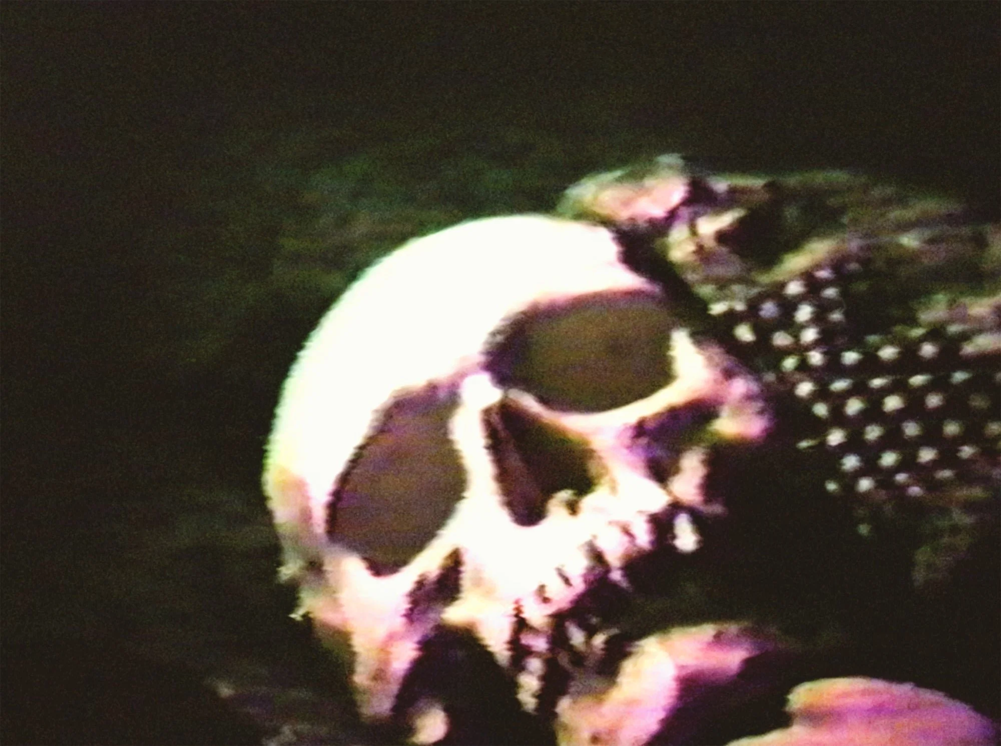 CannibalOrgy_01_2000x.jpg