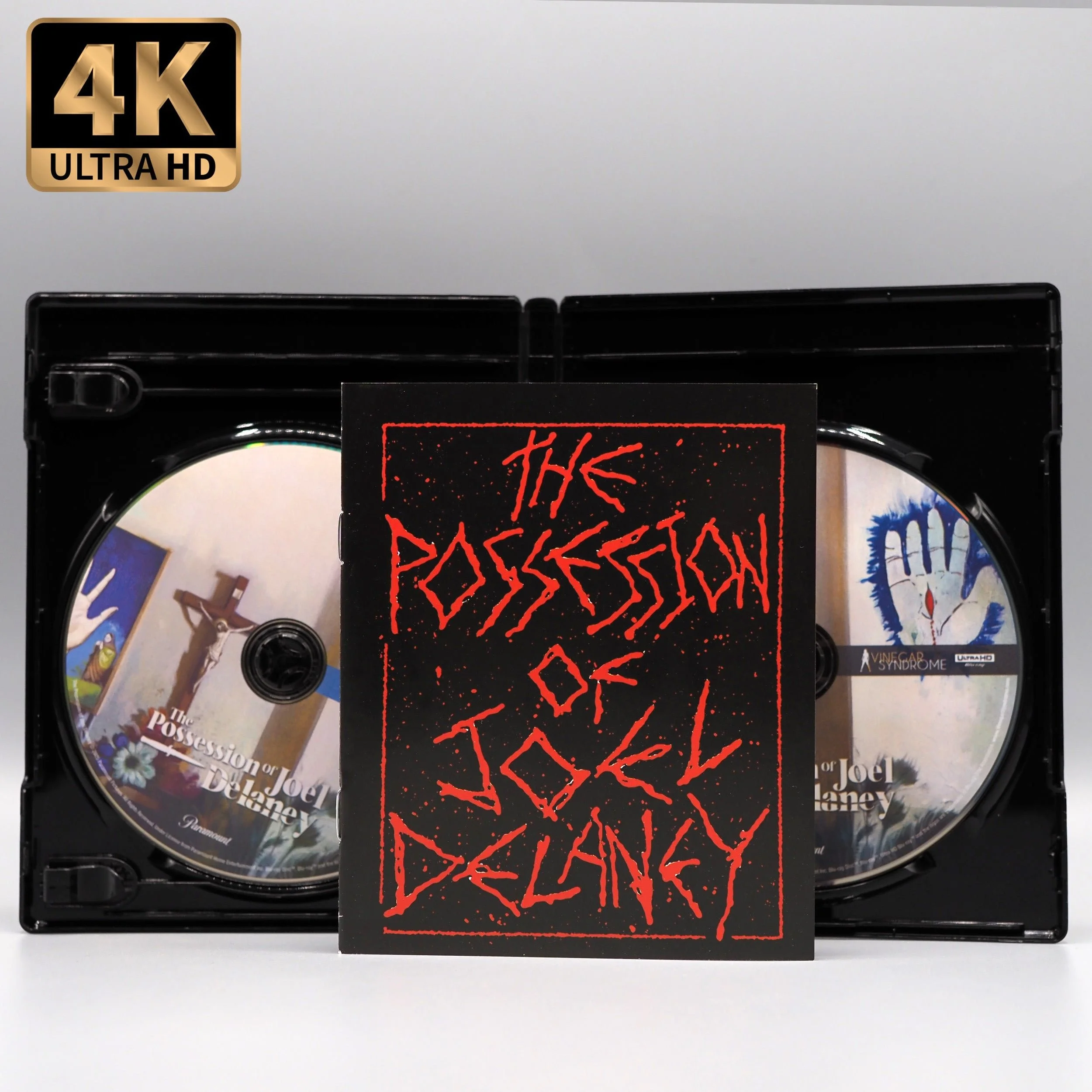The_Possession_Of_Joel_Delaney_Open_2500x.jpg