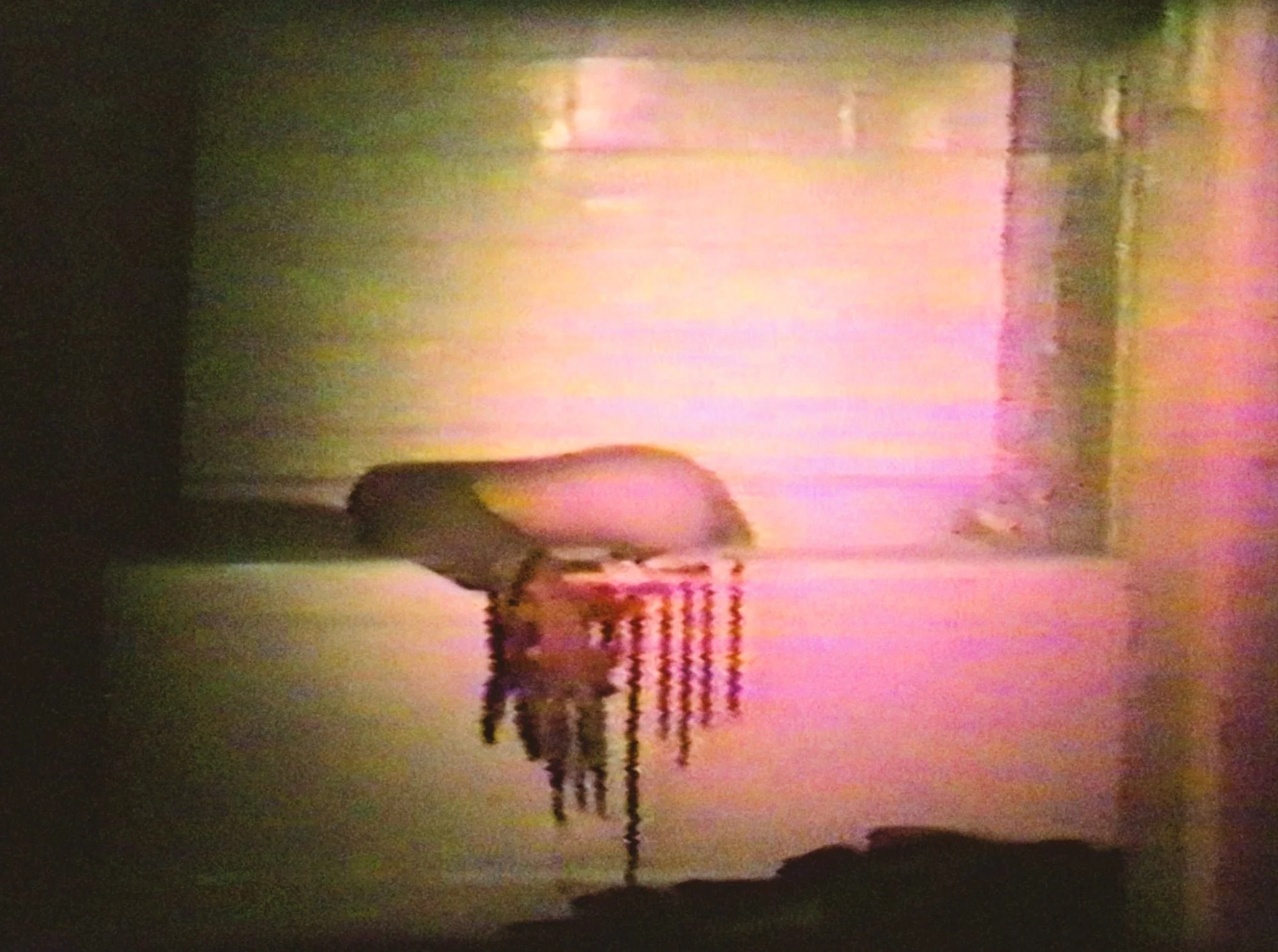 CannibalOrgy_03_2000x.jpg