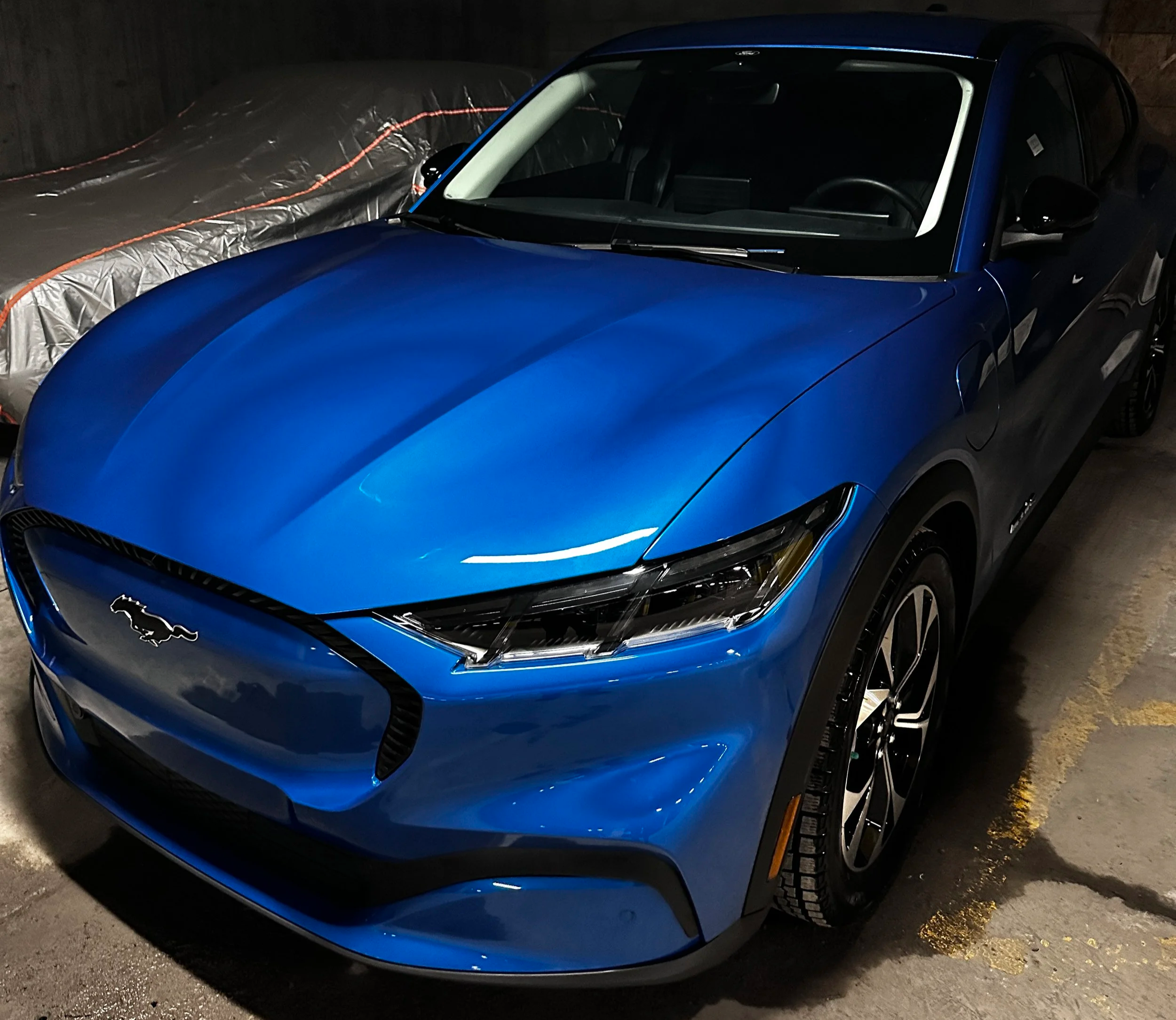 One Step Polish, Ceramic Coating and Interior Detail Bundle