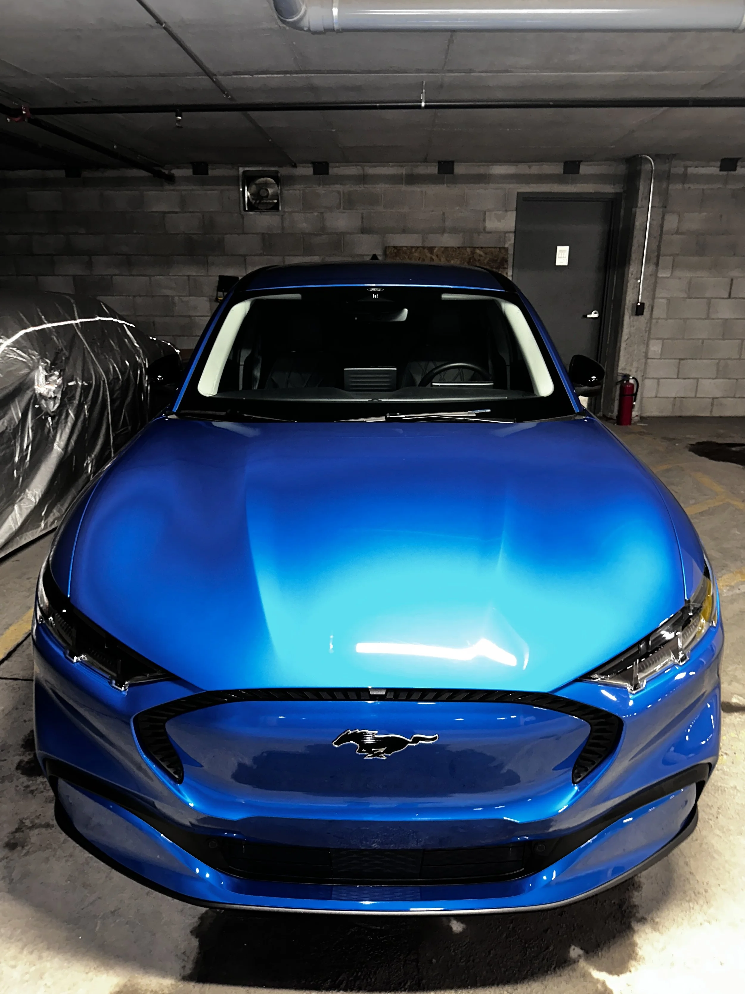 Front view of a blue Ford Mustang parked in an indoor parking garage.