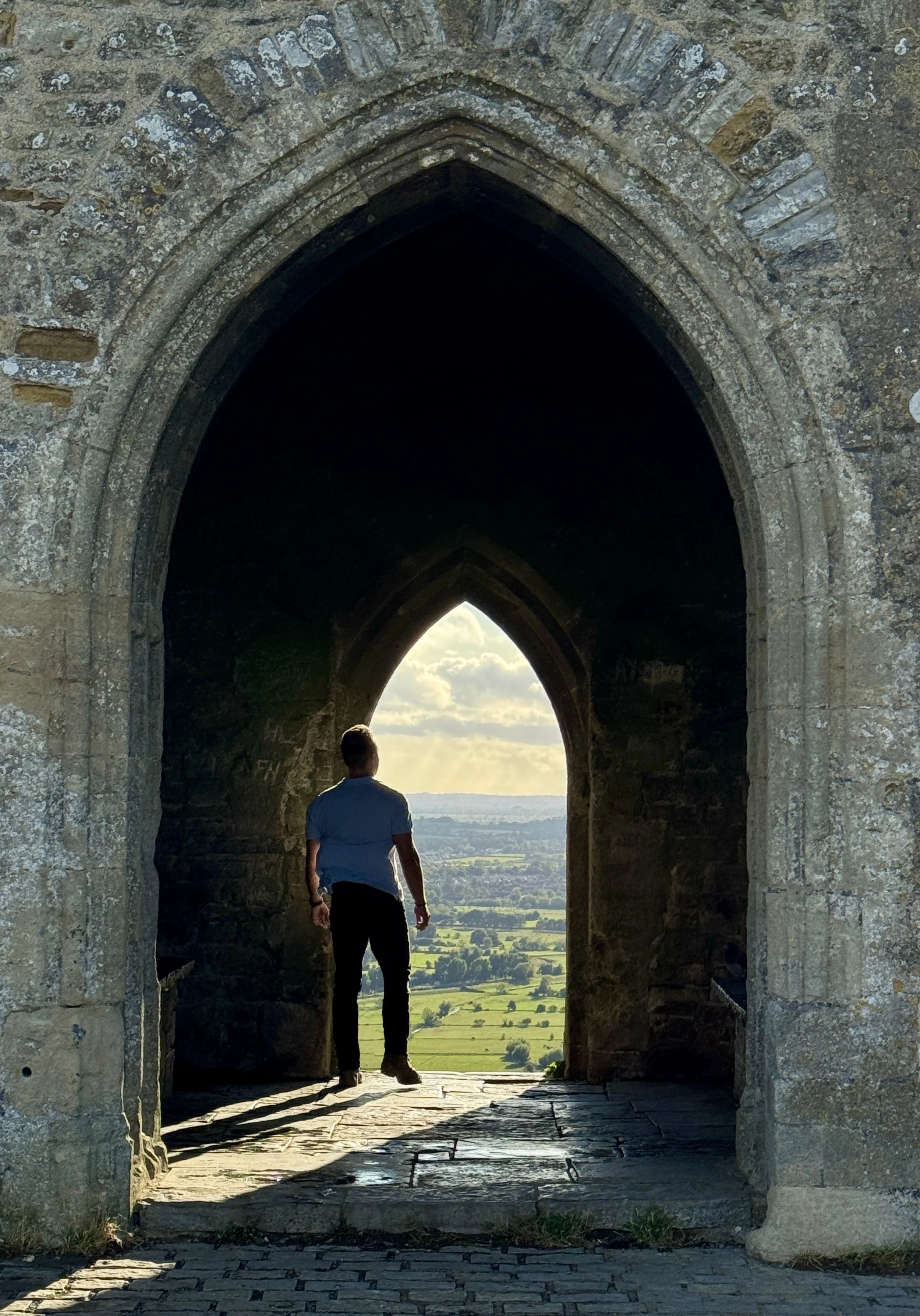 Brave the Dark Forest