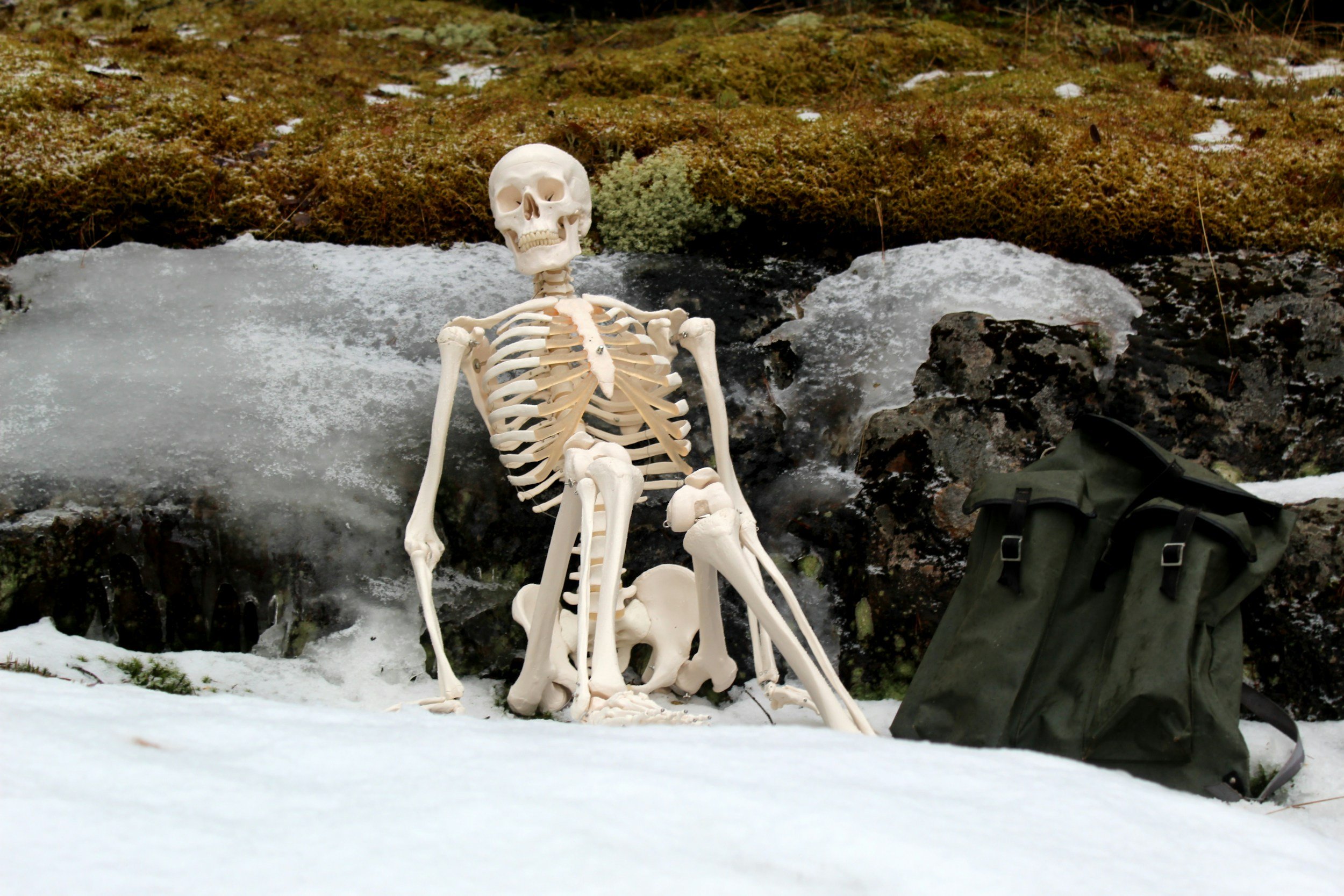 Full size human skeleton sitting on rocks covered in snow.