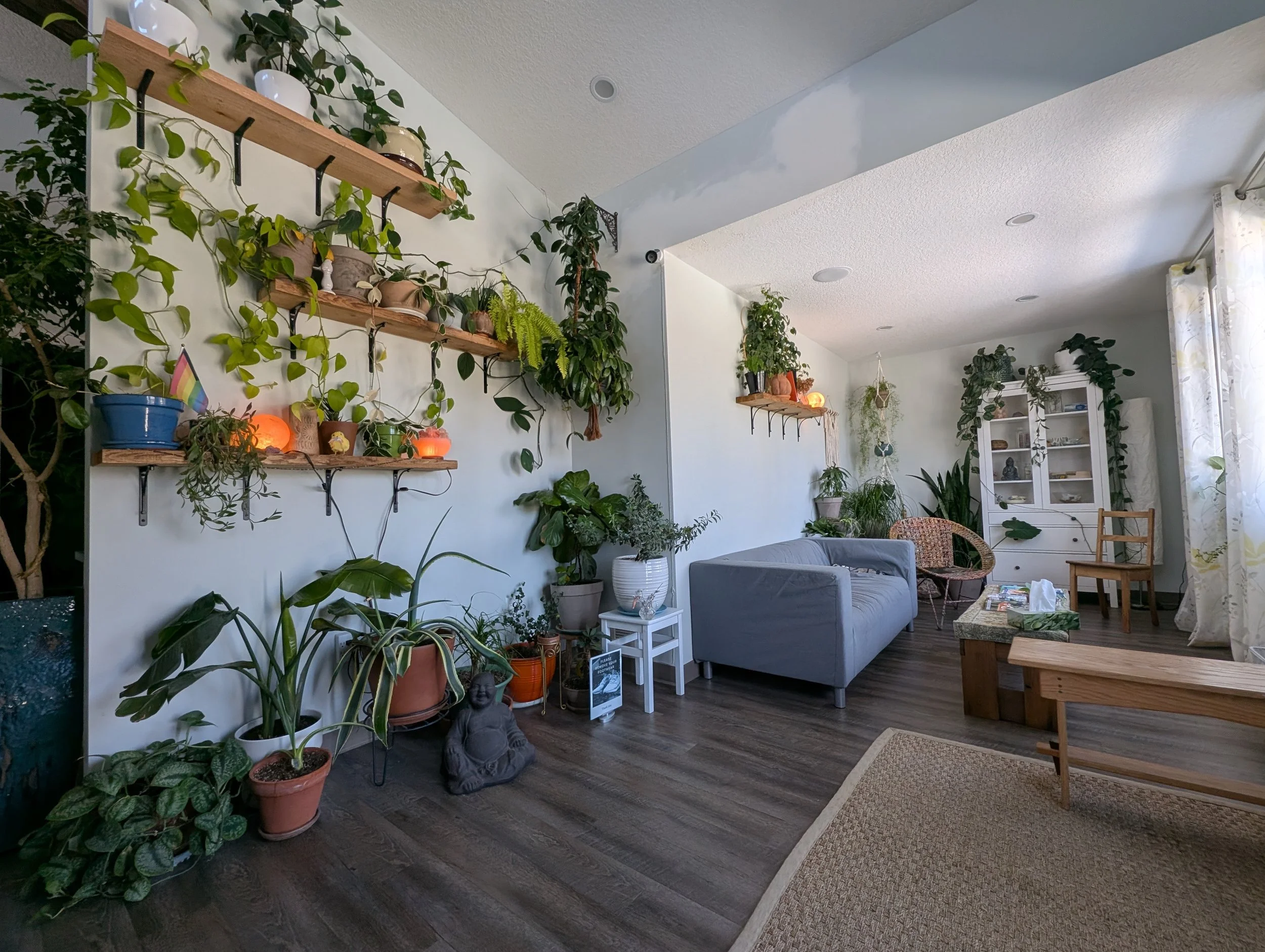 Common area in the Collective with floating shelves full of potted plants. There is a gray couch, a wooden bench, a wicker chair, a white cabinet, and a small white table. Curtains are on the window, allowing natural light to brighten the space.