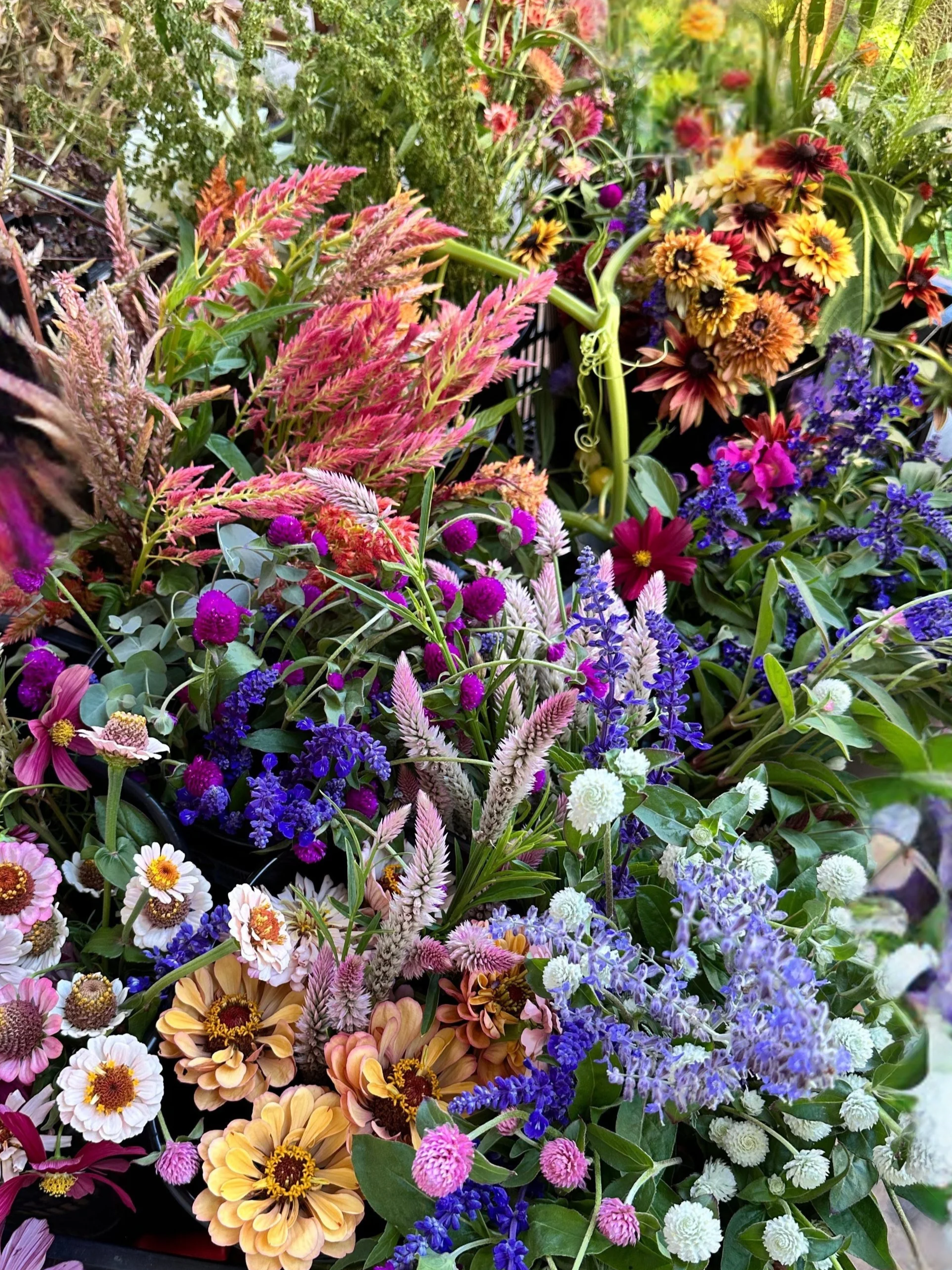 Colorful assortment of various flowering plants including pink, purple, white, yellow, and orange blossoms with green leaves.