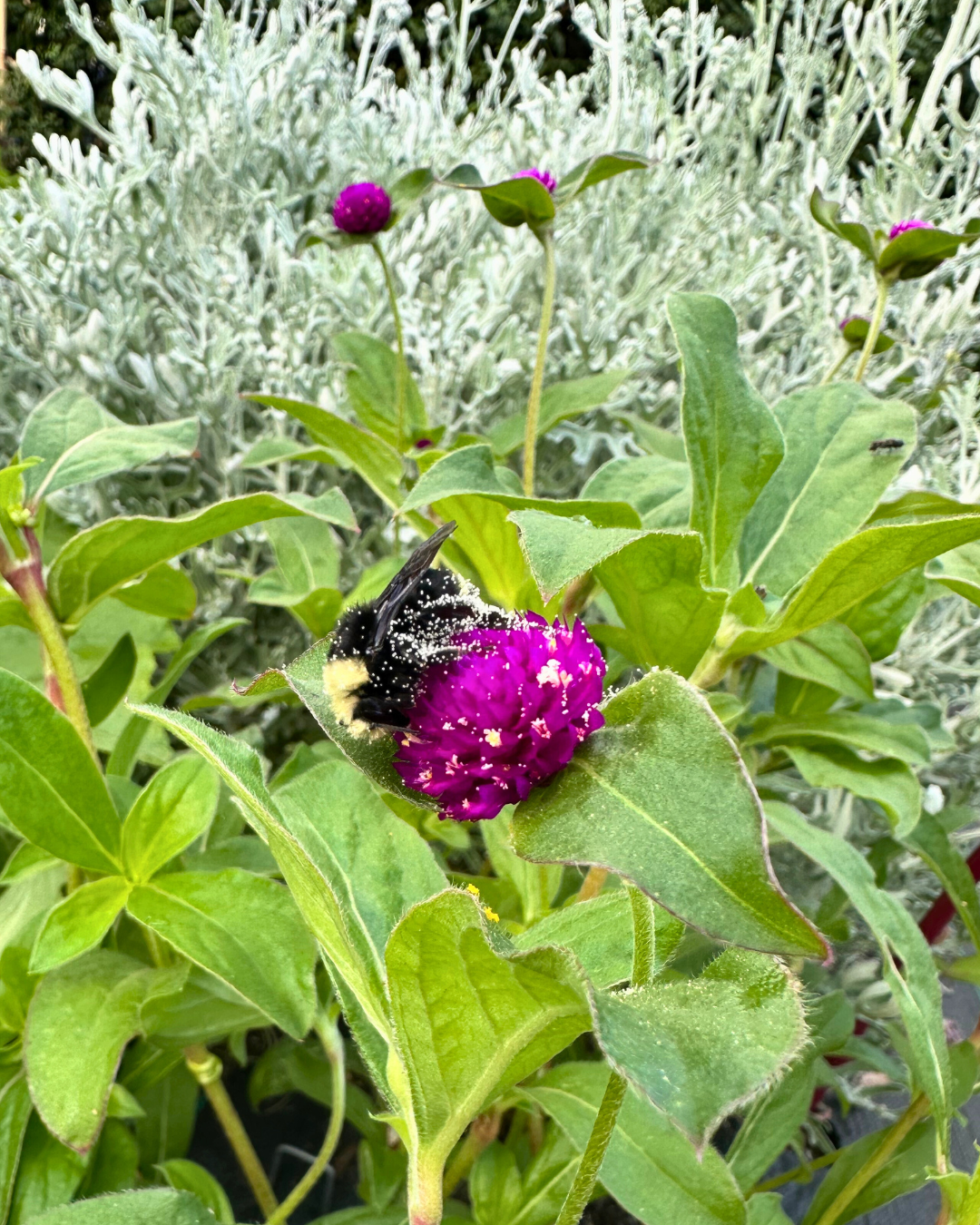 initial consultation