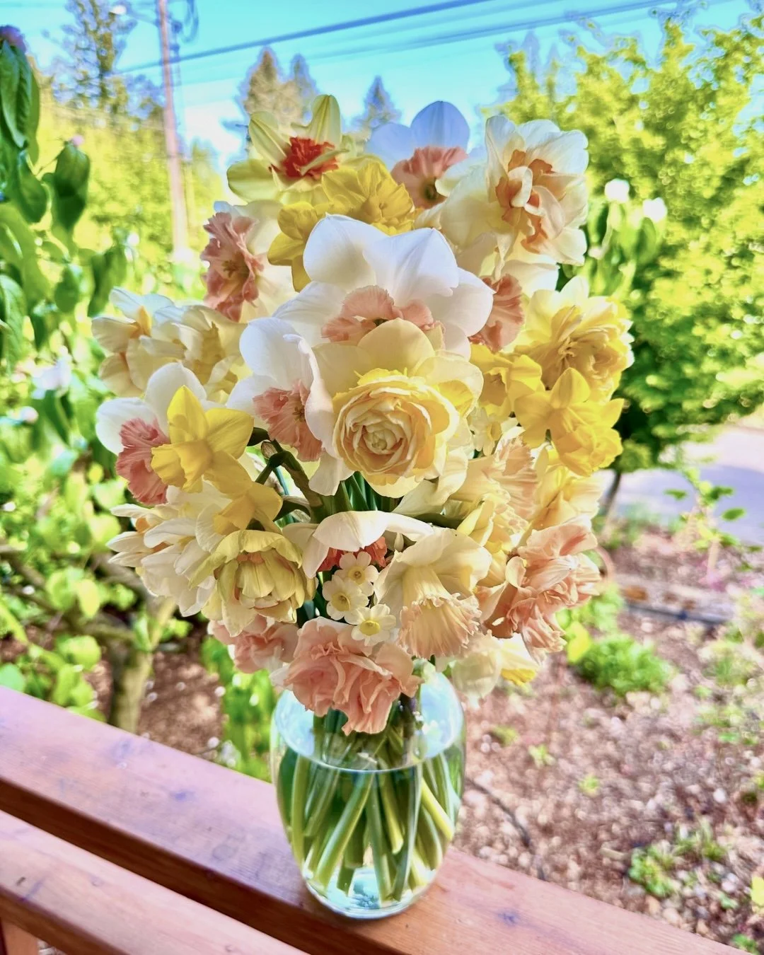 Untitled design 6.jpg