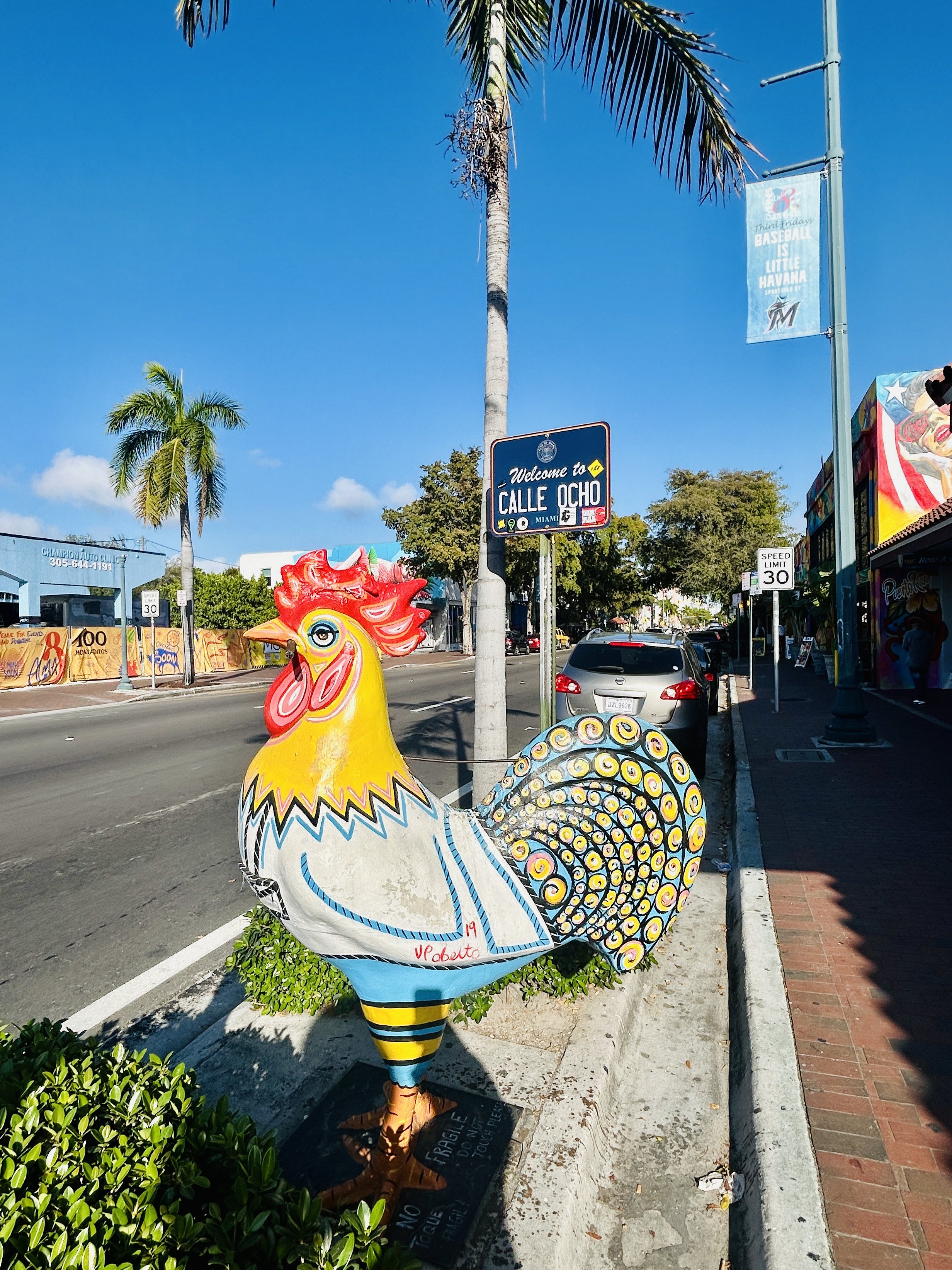 Colorful rooster statue on sidewalk in Miami, Florida, with palm trees, streets, cars, and signage visible under a clear blue sky.