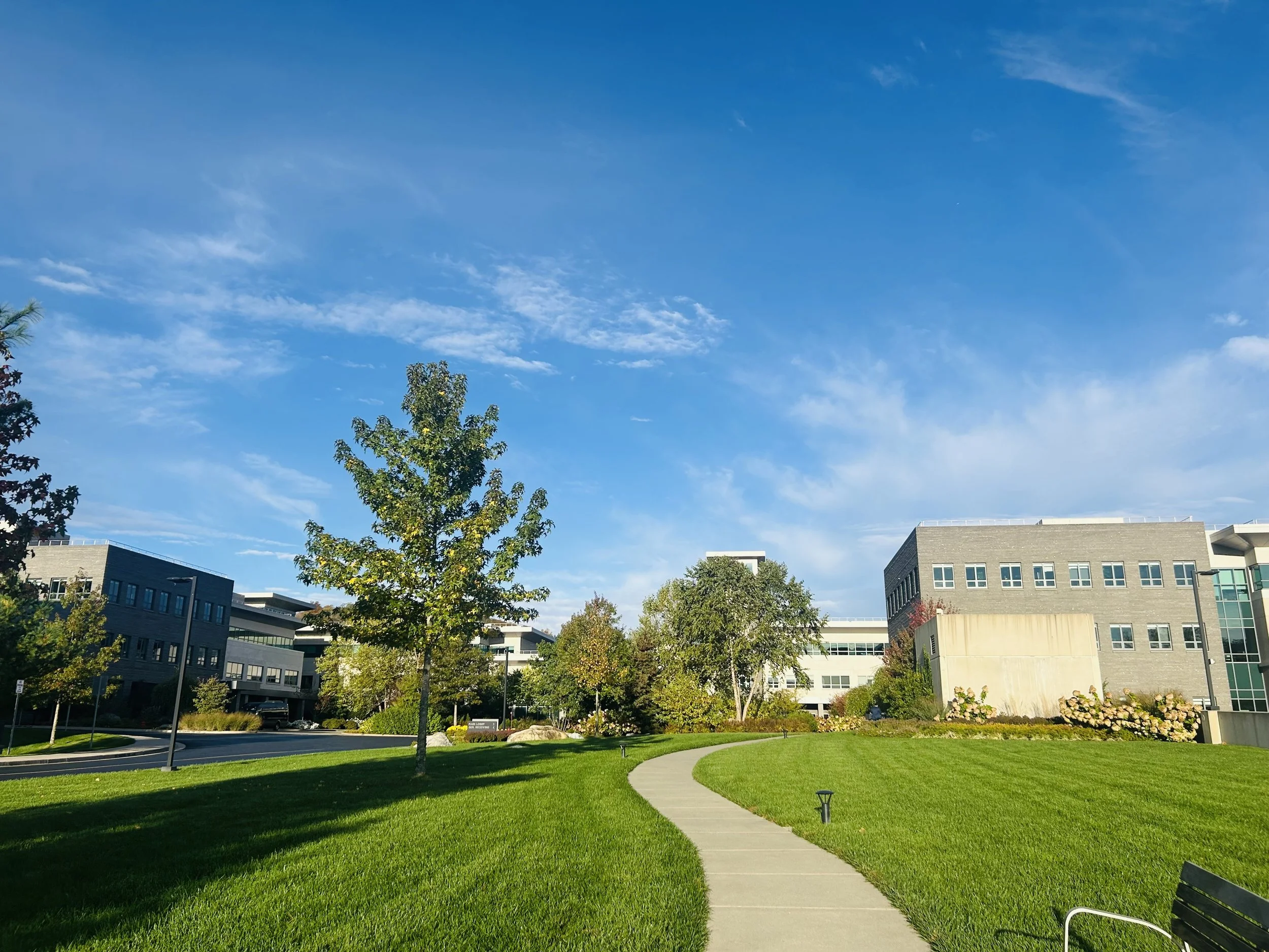 JW Bethel Tour- May 16-24, 2026