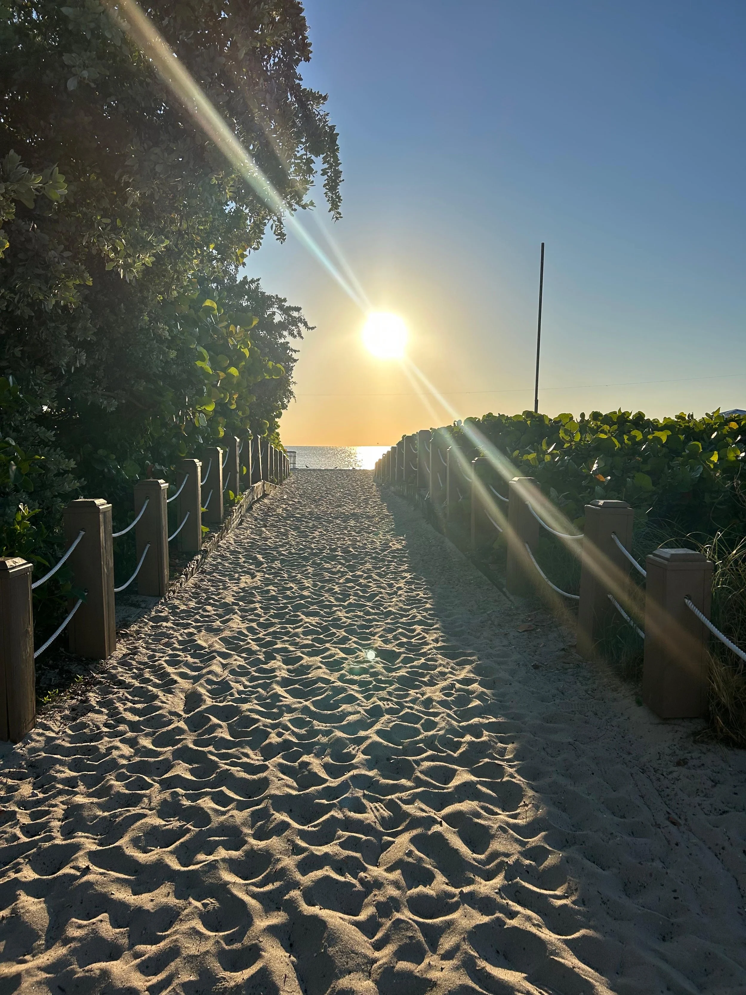 A sandy beach walkway leading to the ocean with the sun setting on the horizon, flanked by green bushes and trees, with a clear blue sky.