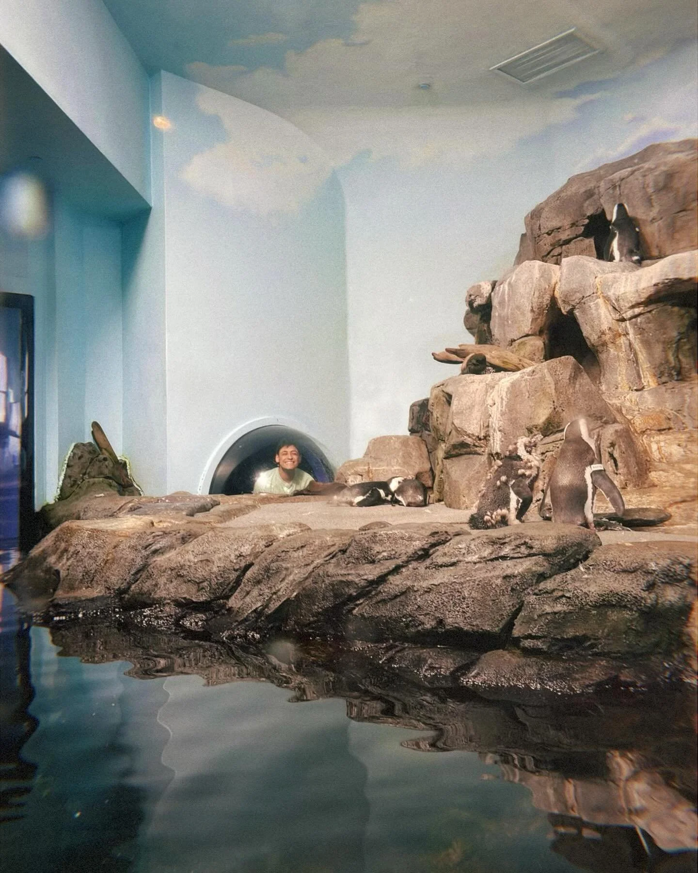 Little fishy🪼📖