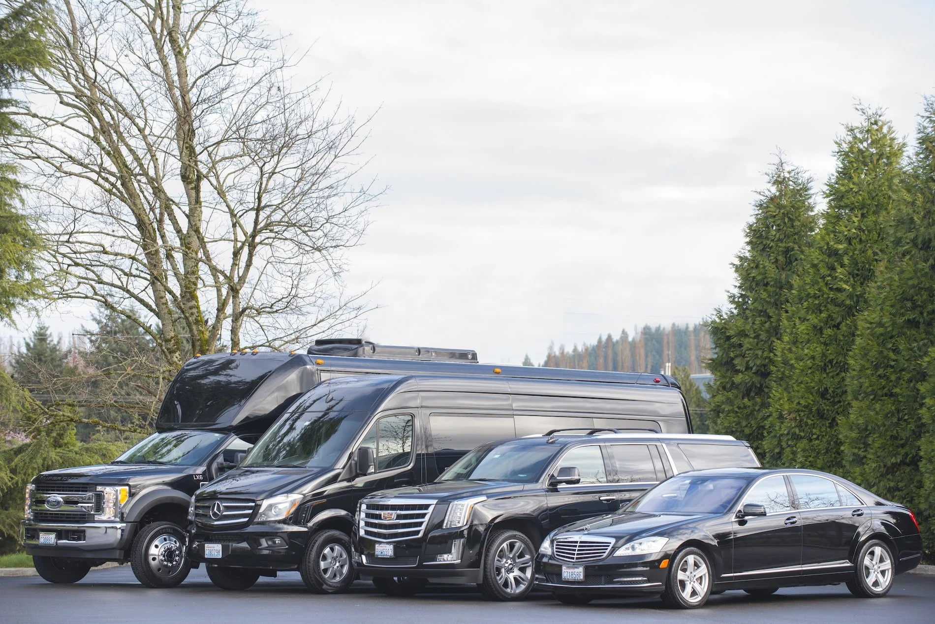 Fleet of luxury black vehicles in various sizes.