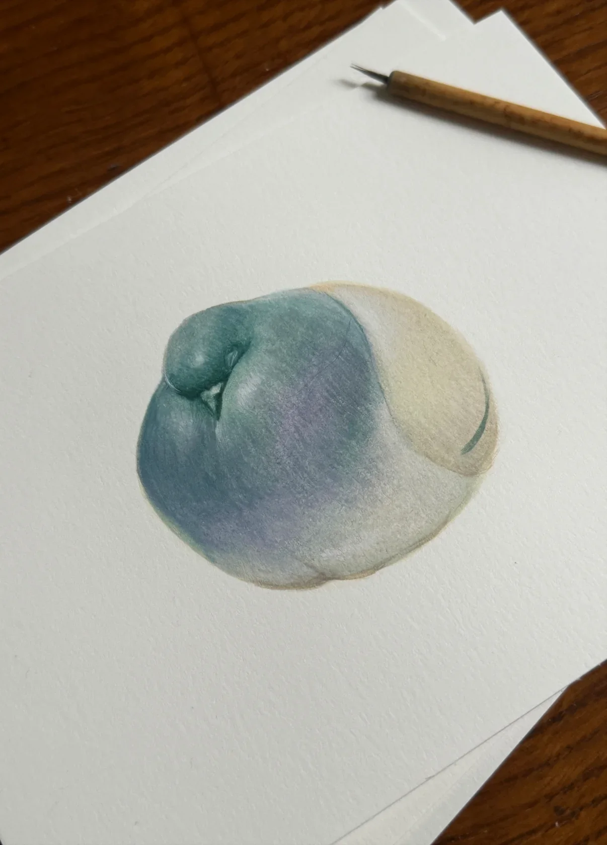 Pigeon Study • Original Watercolour Painting