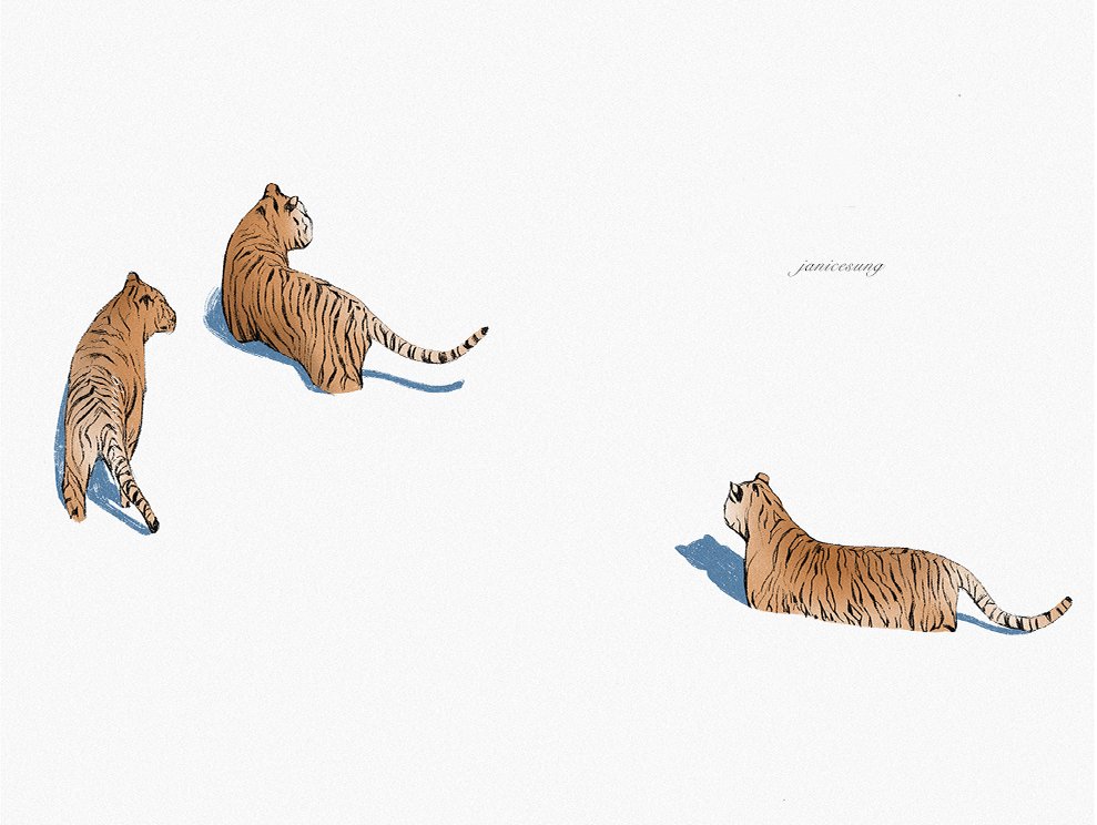 A stylized digital illustration by Janice Sung ofthree tigers on a plain white background, with two sitting and one lying down.
