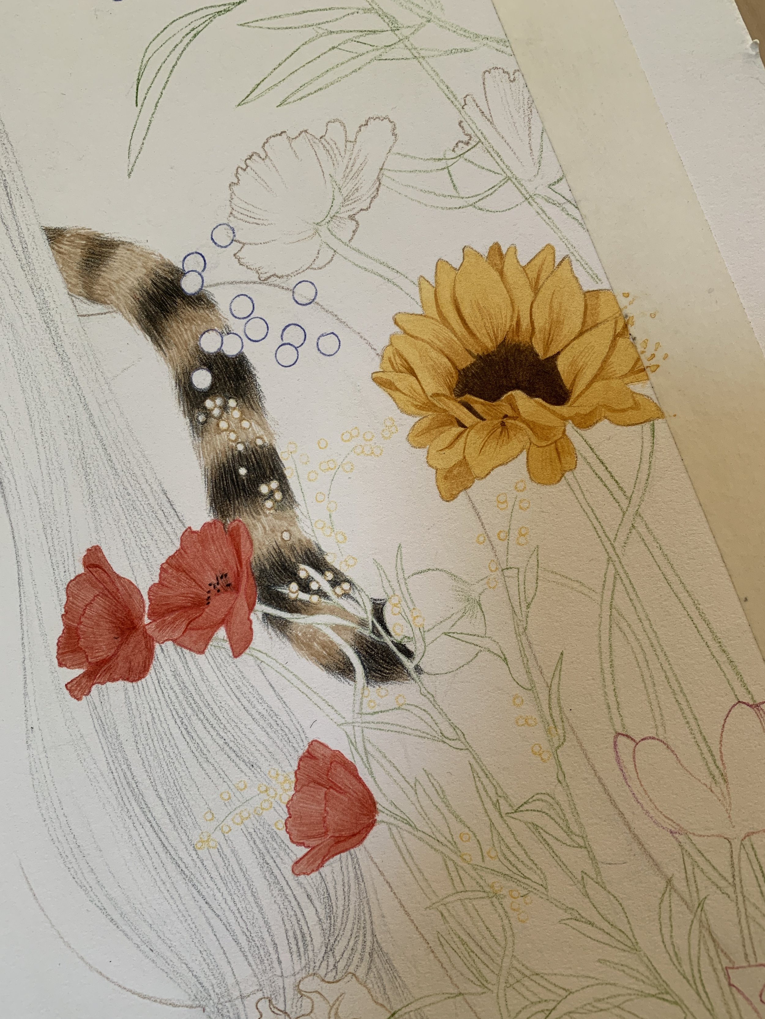 A partially completed floral drawing on paper, featuring a sunflower, poppies, and leaves, with some sections sketched in pencil and others painted with watercolor by Janice Sung