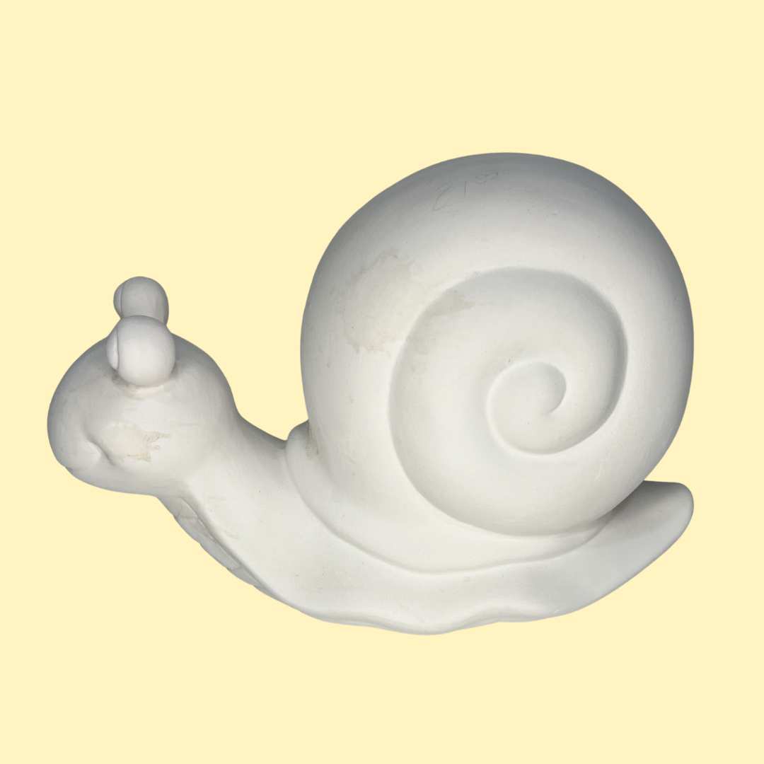 Bright Eyed Garden Snail