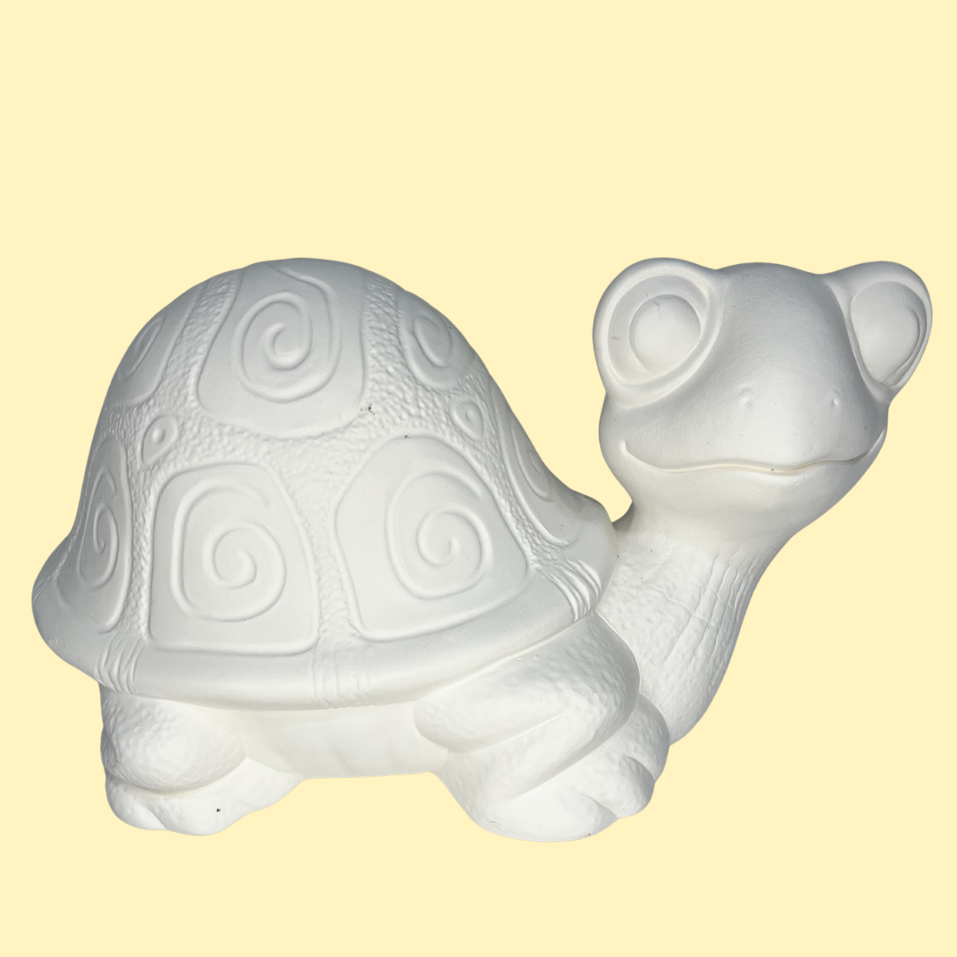 Pokey Turtle