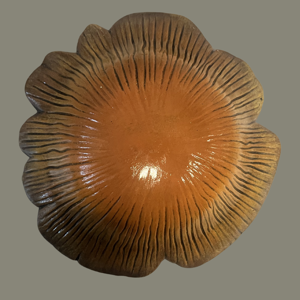 Wrinked Mushroom Cap
