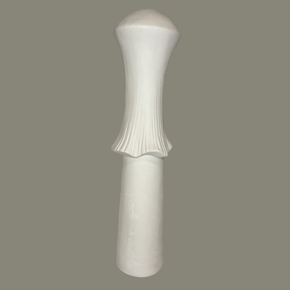 24.png (Copy) (Copy)