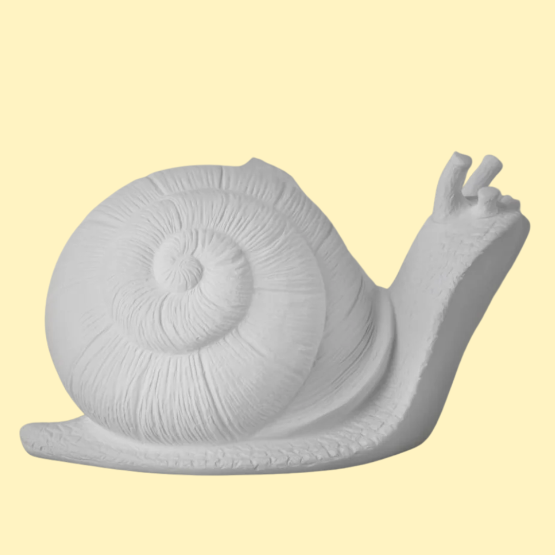 Garden Snail