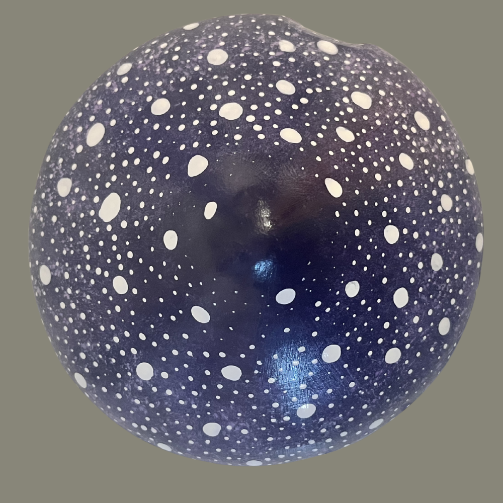 Pointed Mushroom Cap
