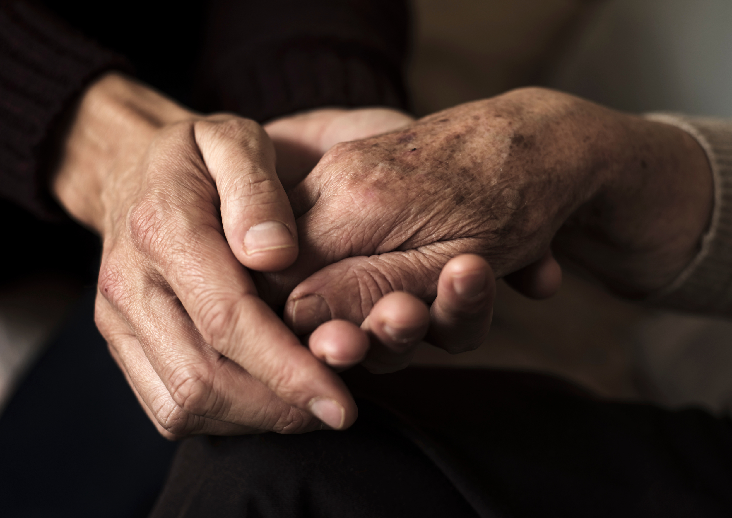 Close-up of two elderly hands holding each other, showing signs of aging with wrinkles and age spots.