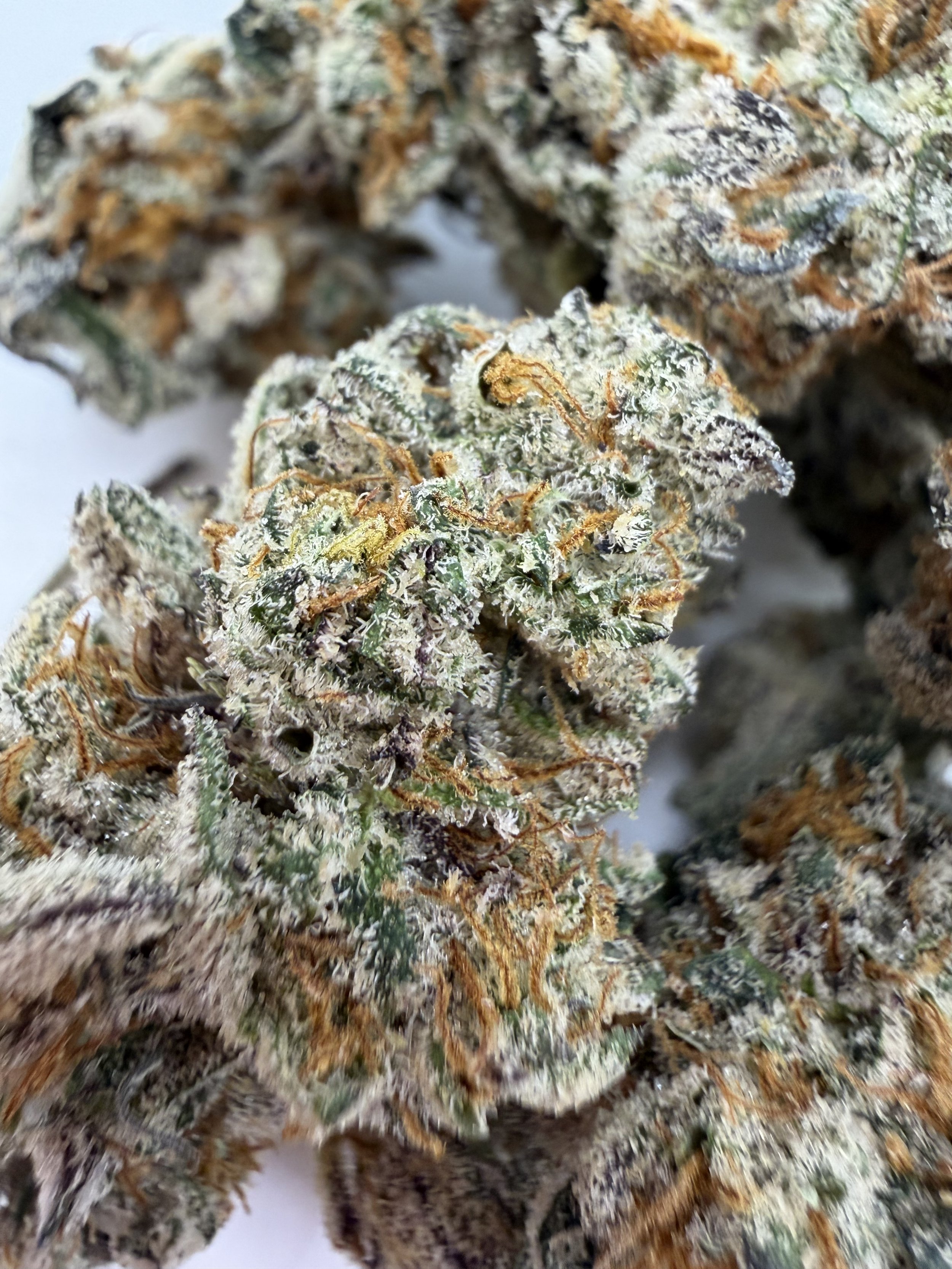 The Real OG Kush